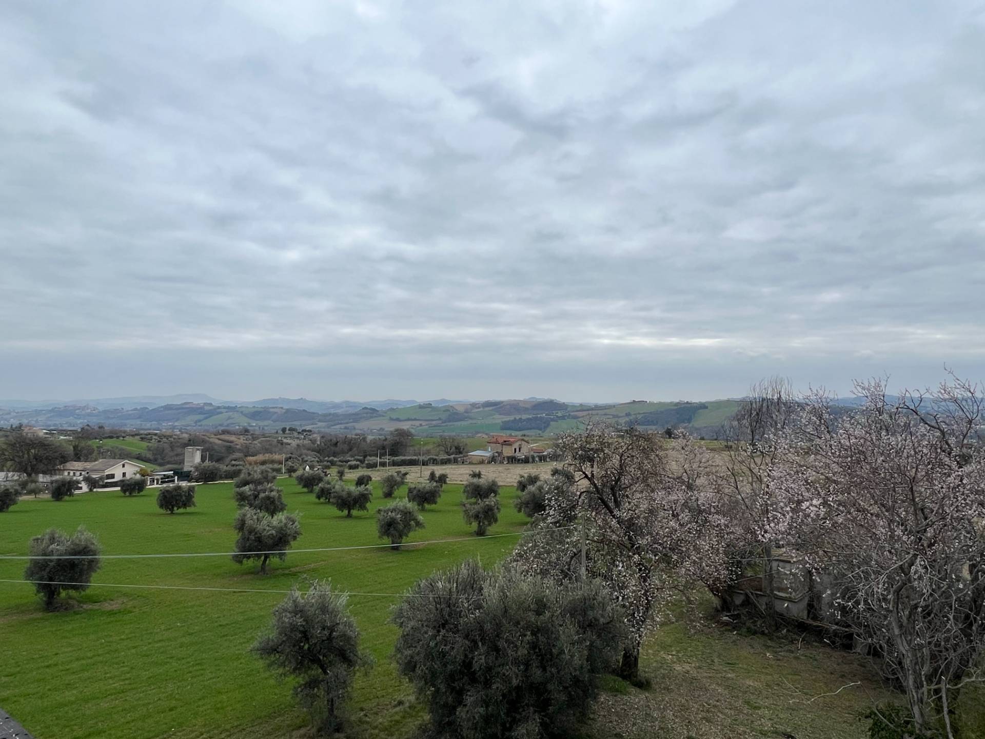 Casolare e Terreno in vendita a Montegiorgio