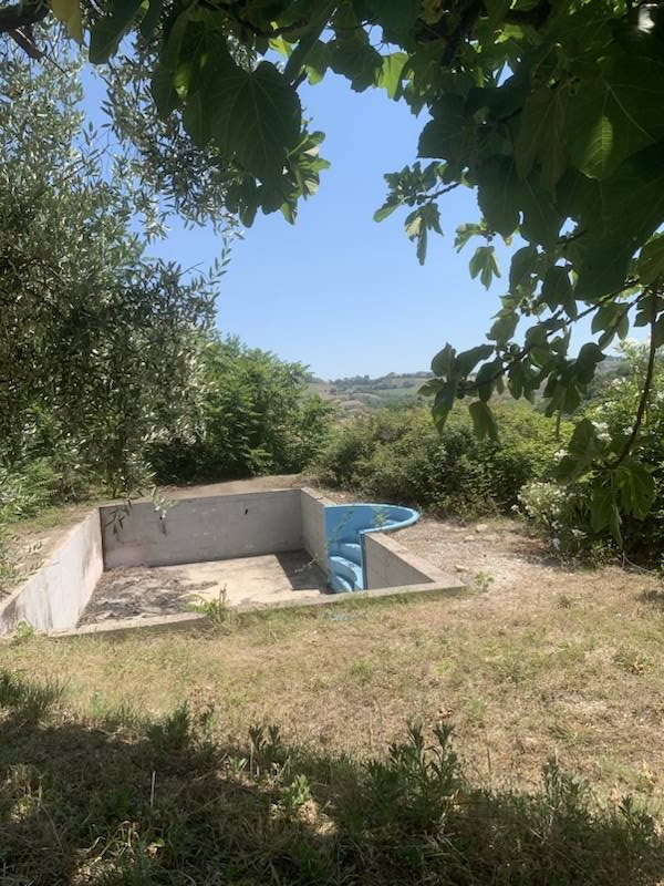 immagine annuncio 2 di 6