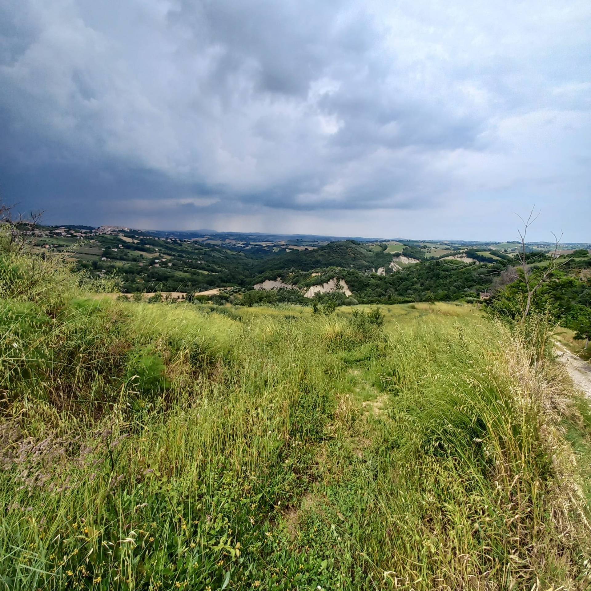 Terreno Agricolo in vendita a Monte Vidon Corrado