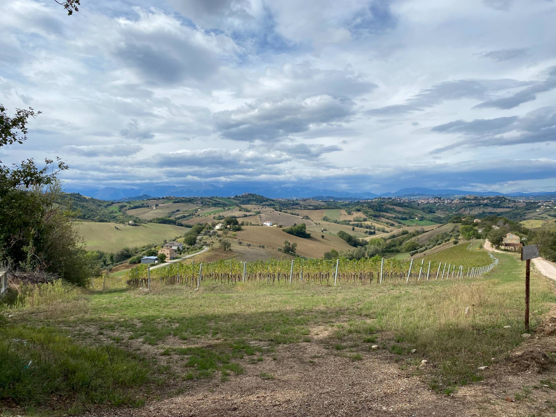 Casa associata in affitto a Montegiorgio, Alteta