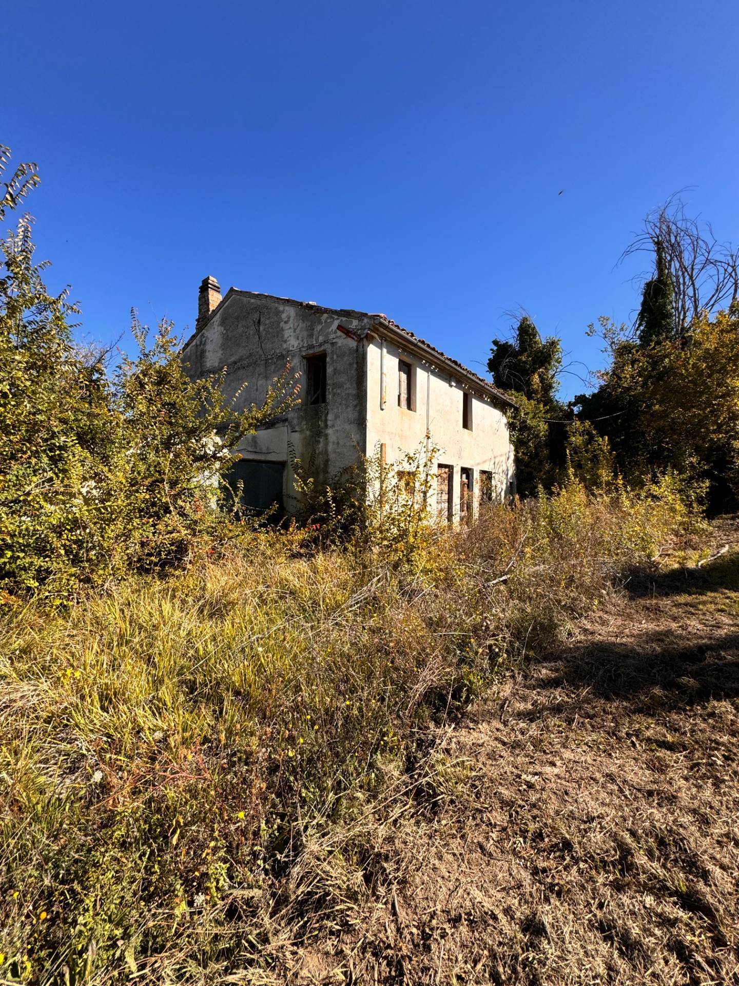 Casolare e Terreno in vendita a Montegiorgio