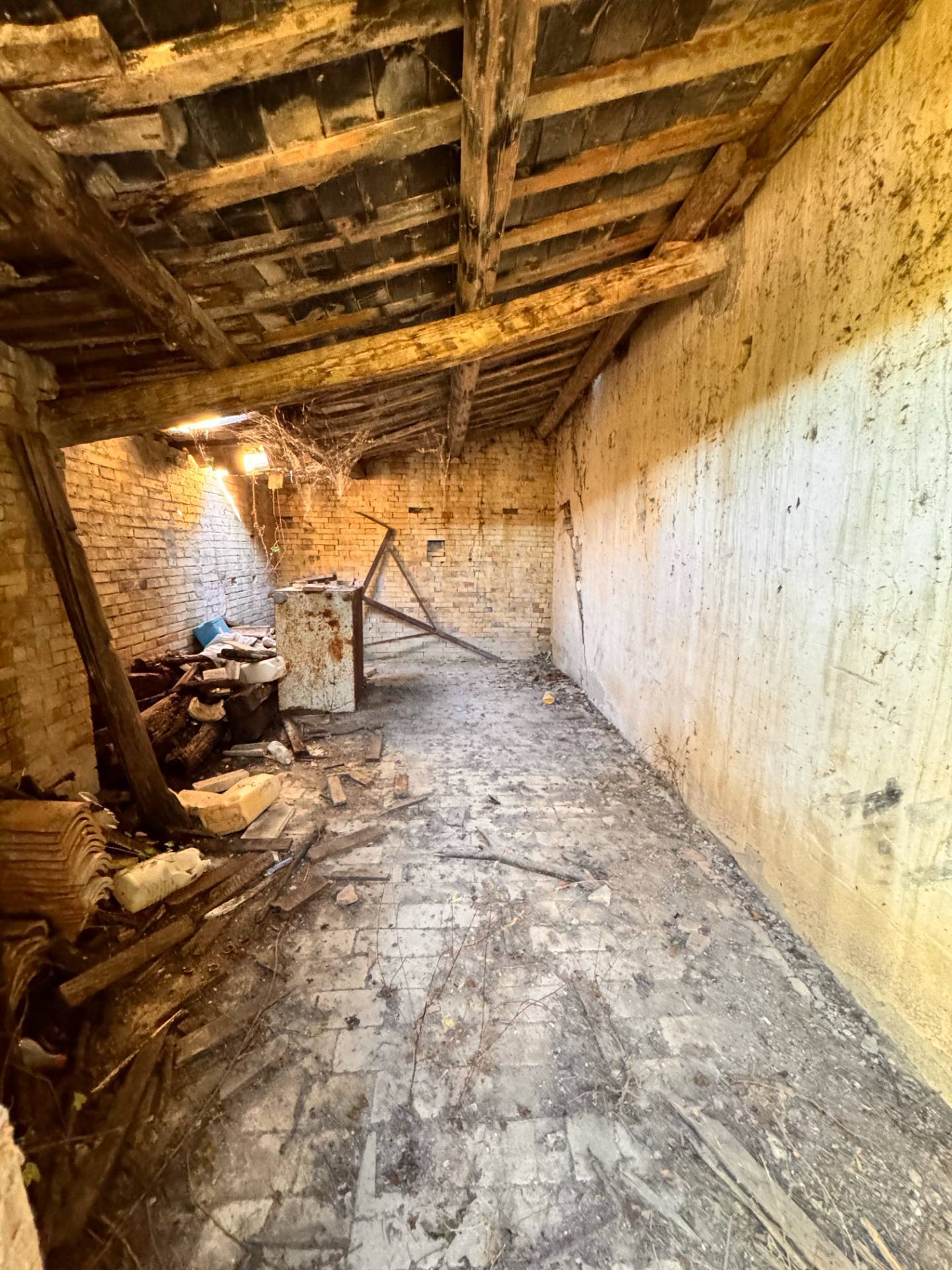 Casolare e Terreno in vendita a Montegiorgio