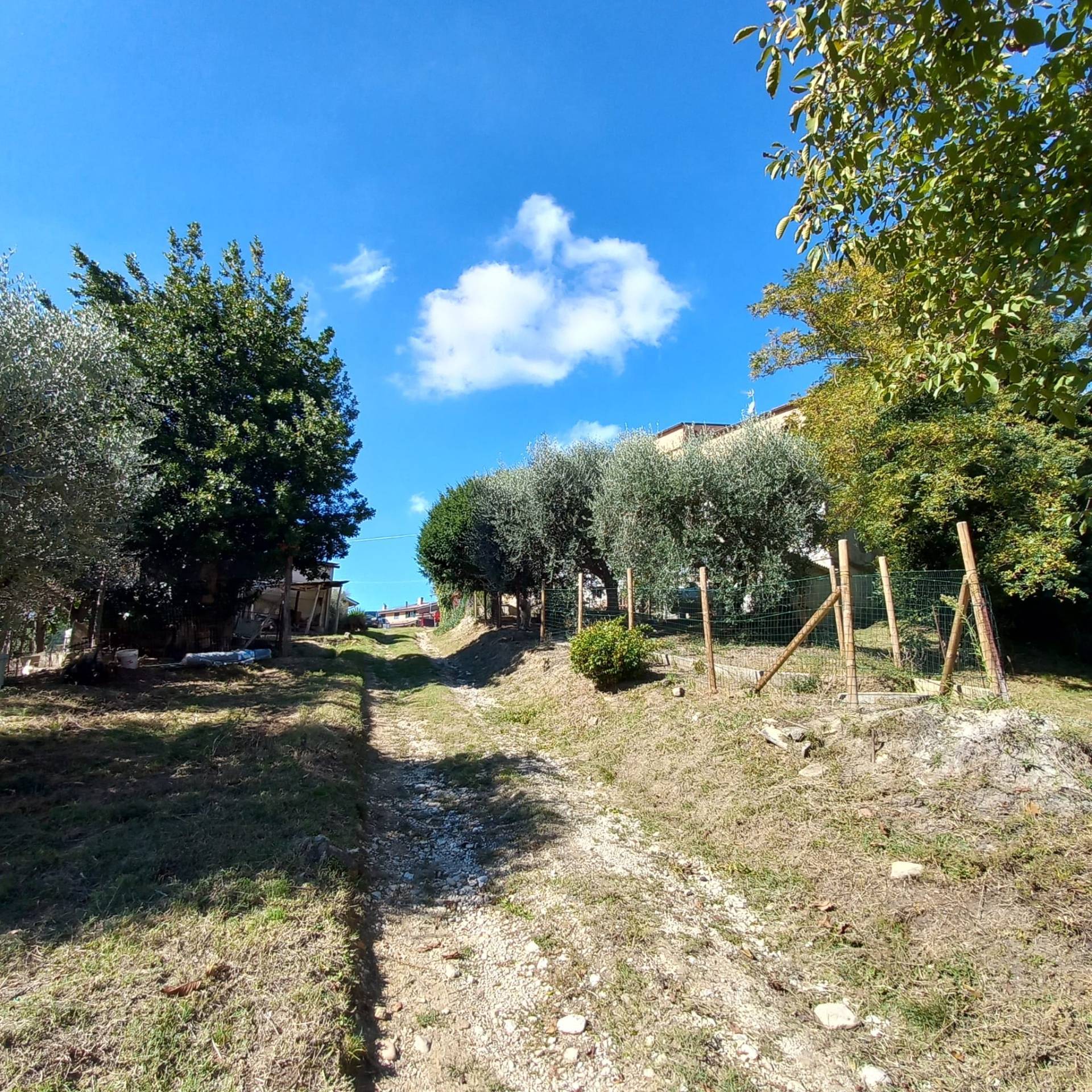 Casa associata in vendita a Falerone, Piane di Falerone