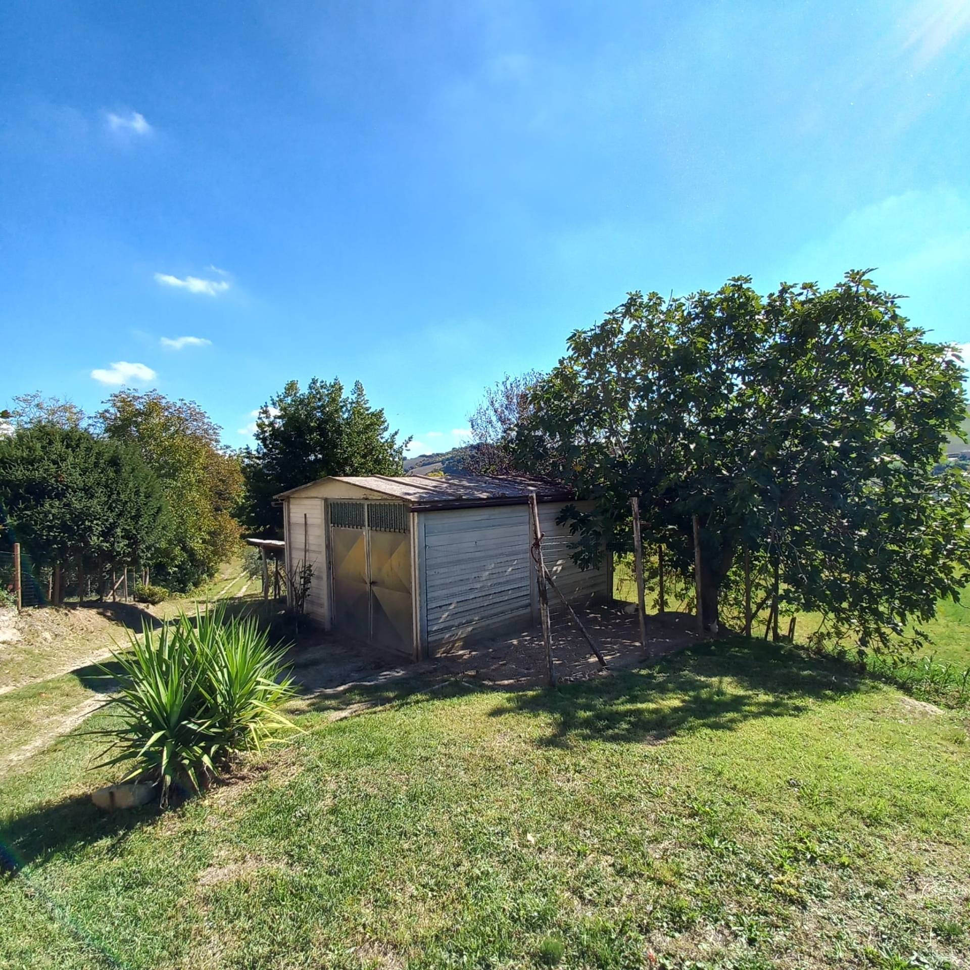 Casa associata in vendita a Falerone, Piane di Falerone