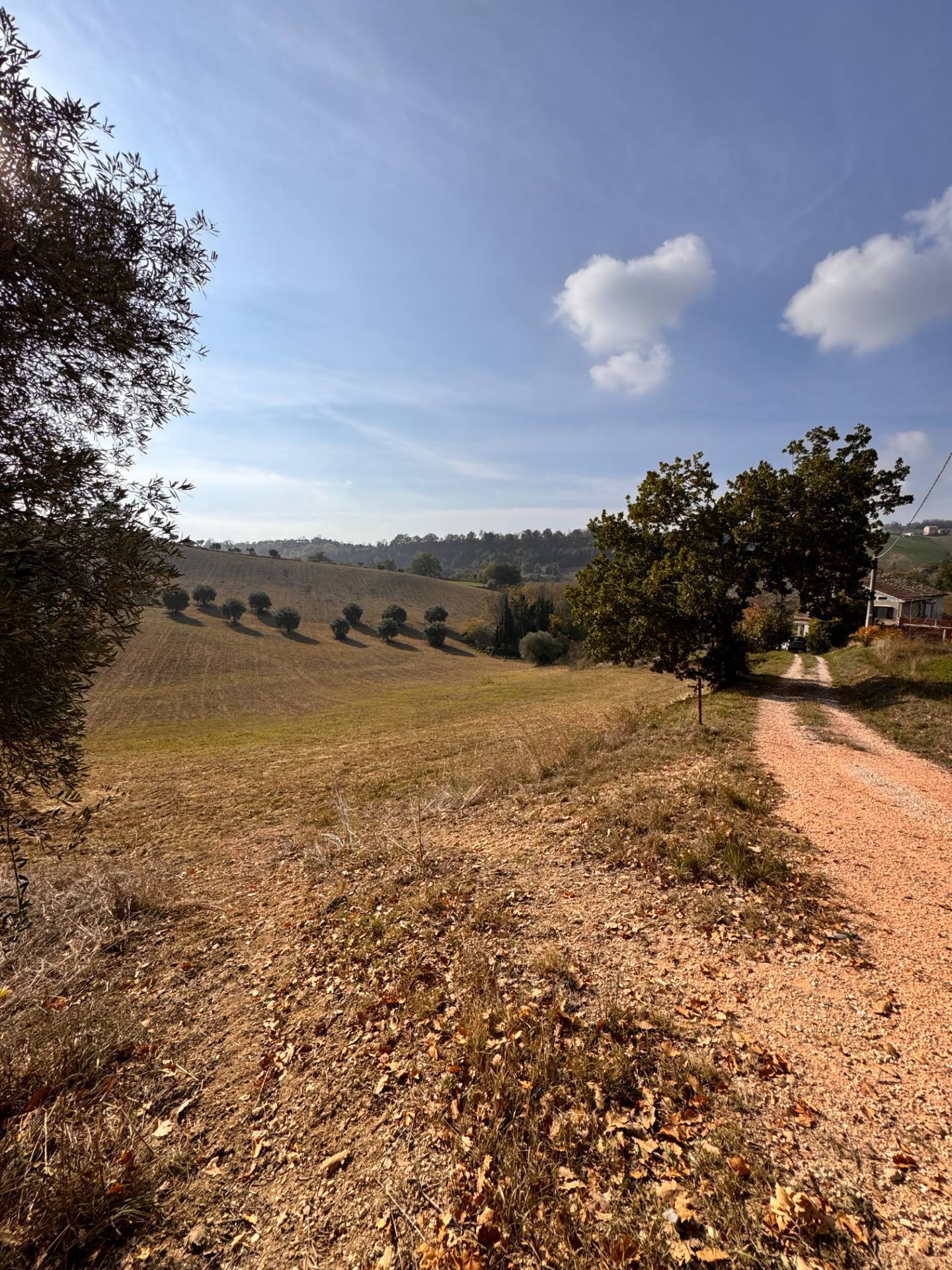 Casolare e Terreno in vendita a Montegiorgio