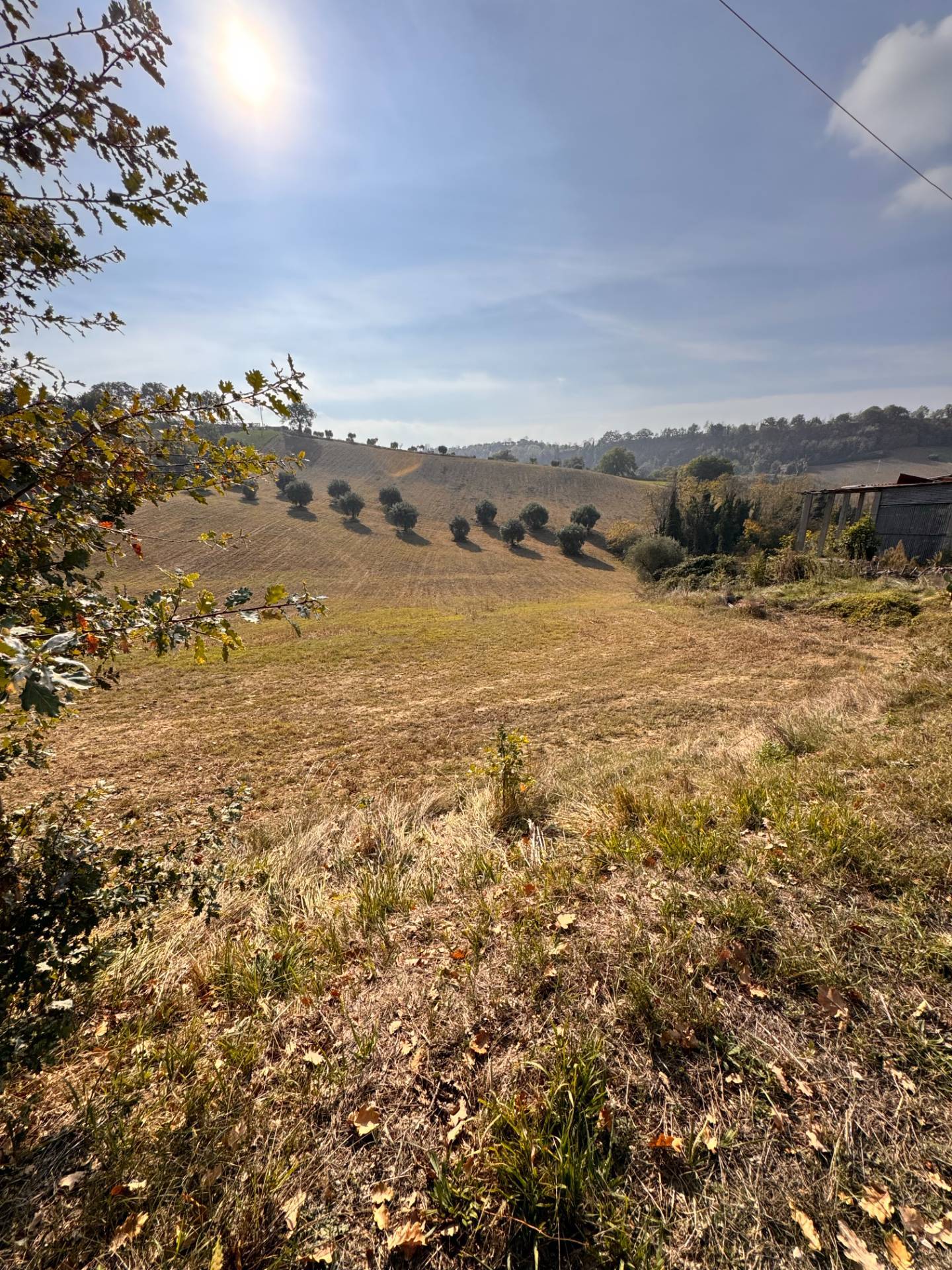 Casolare e Terreno in vendita a Montegiorgio