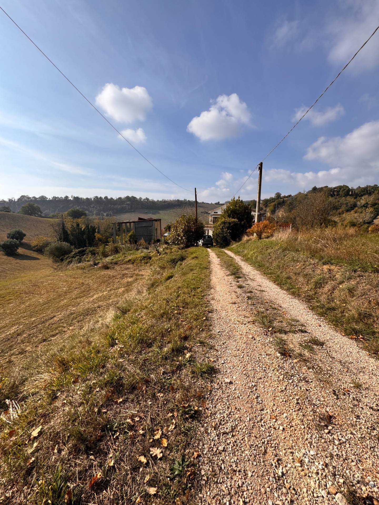 Casolare e Terreno in vendita a Montegiorgio