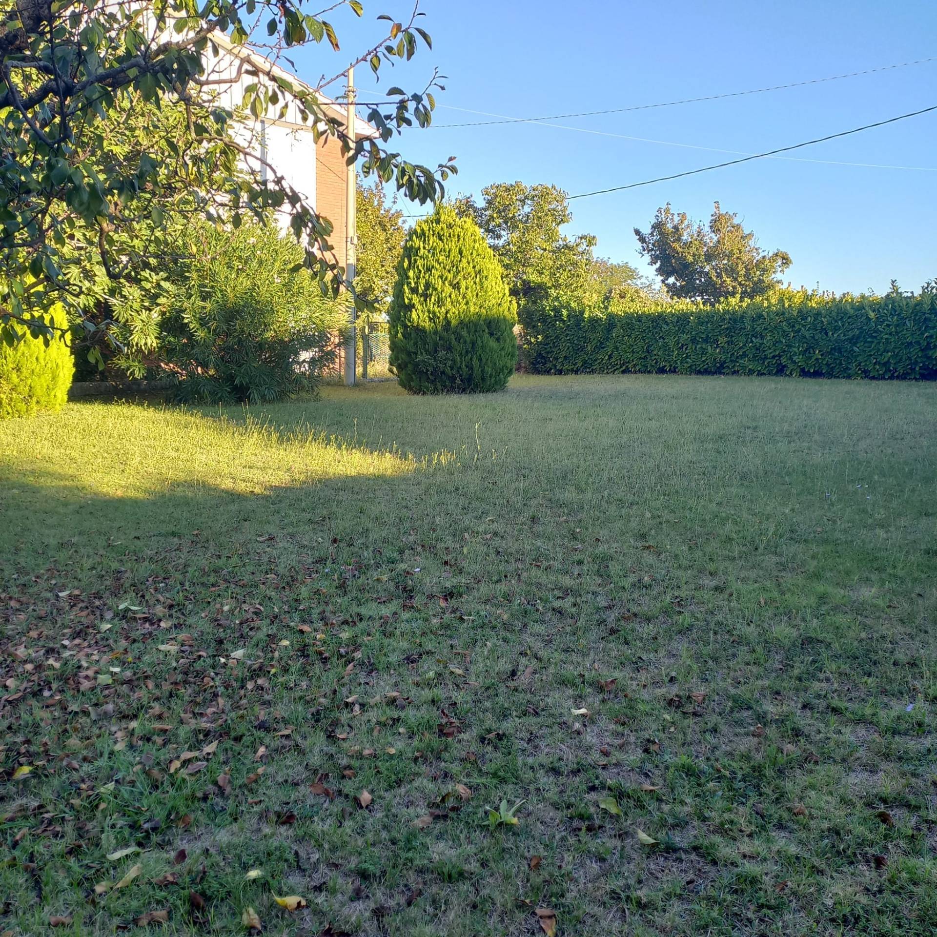 Terreno edificabile in vendita a Falerone