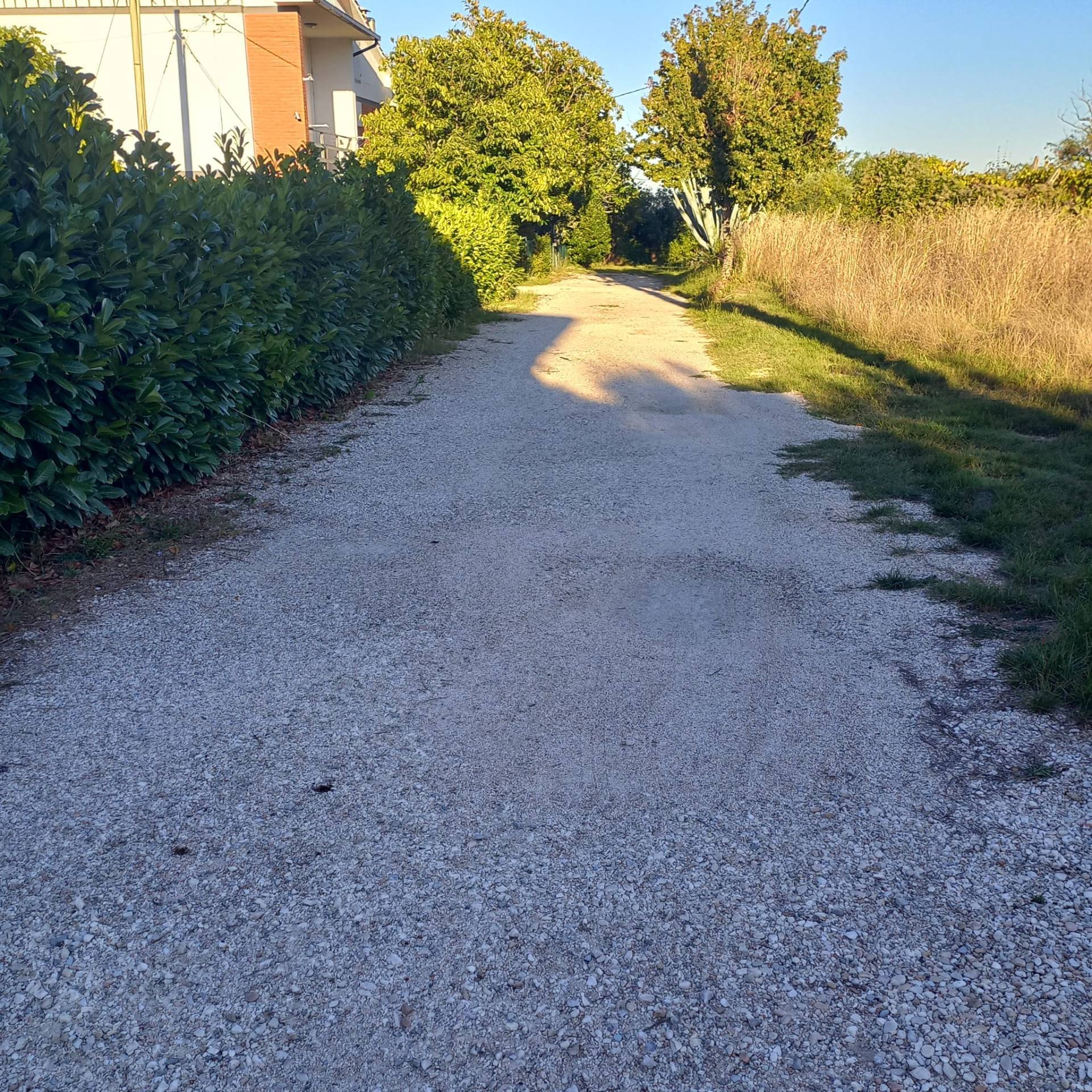 Terreno edificabile in vendita a Falerone