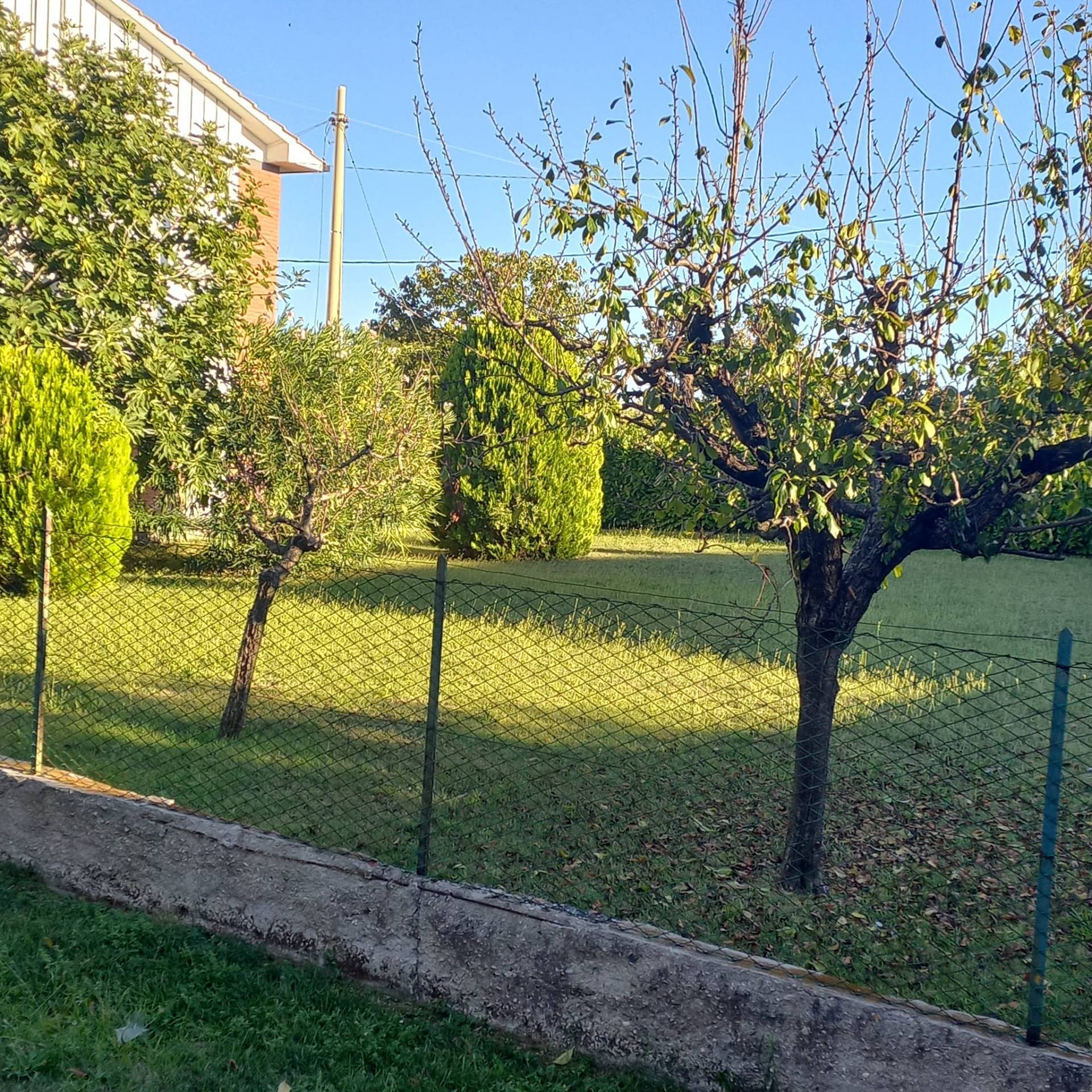 Terreno edificabile in vendita a Falerone