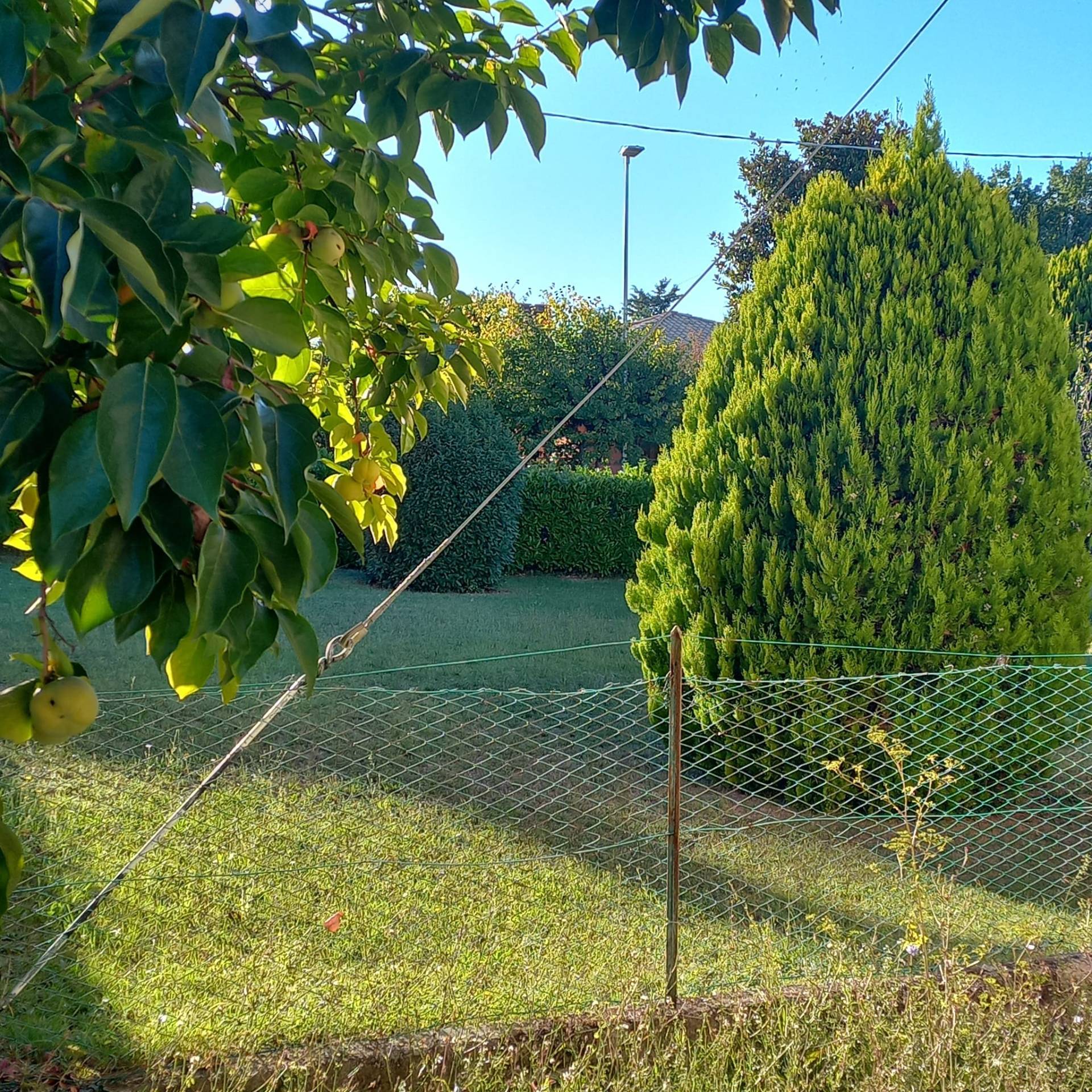 Terreno edificabile in vendita a Falerone