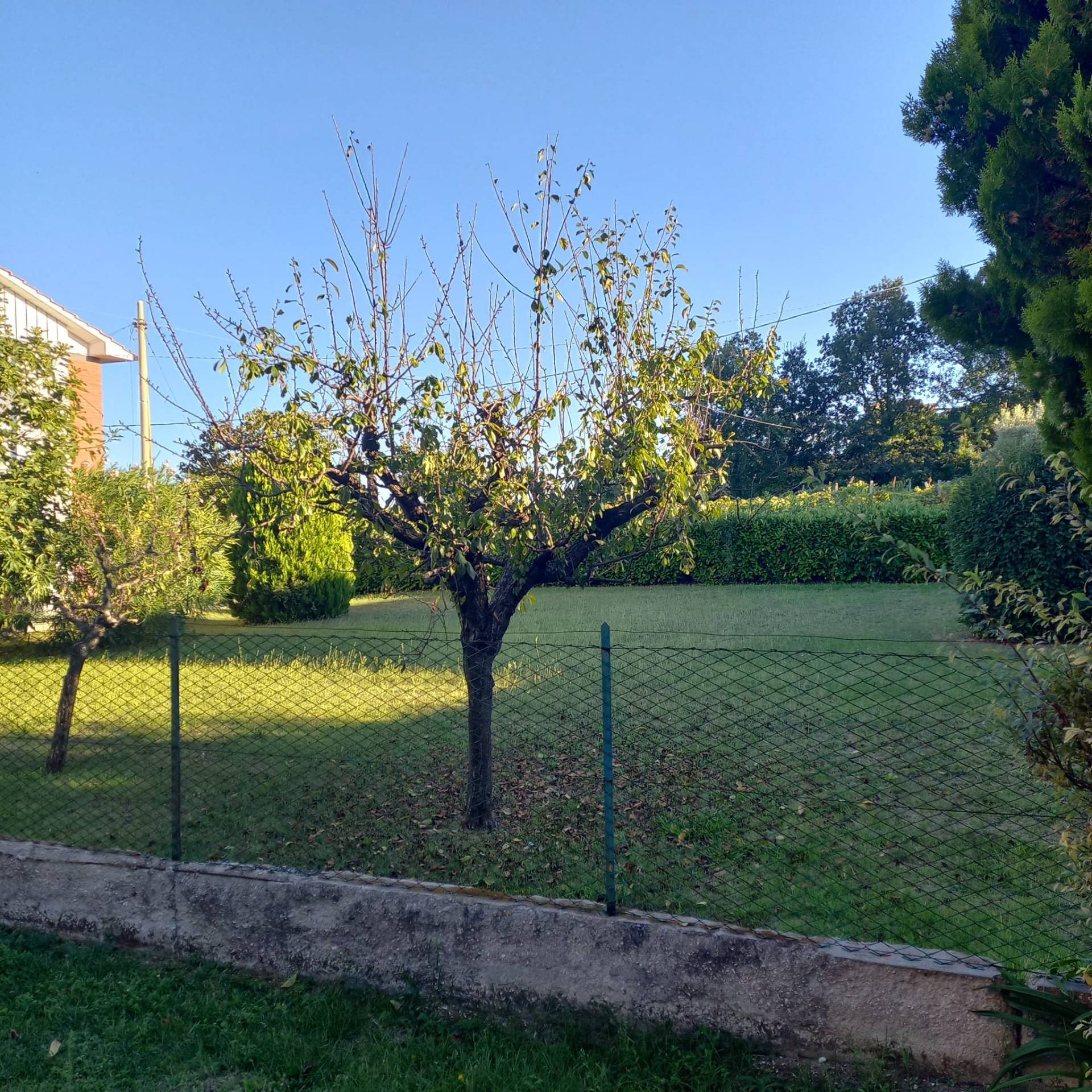 Terreno edificabile in vendita a Falerone