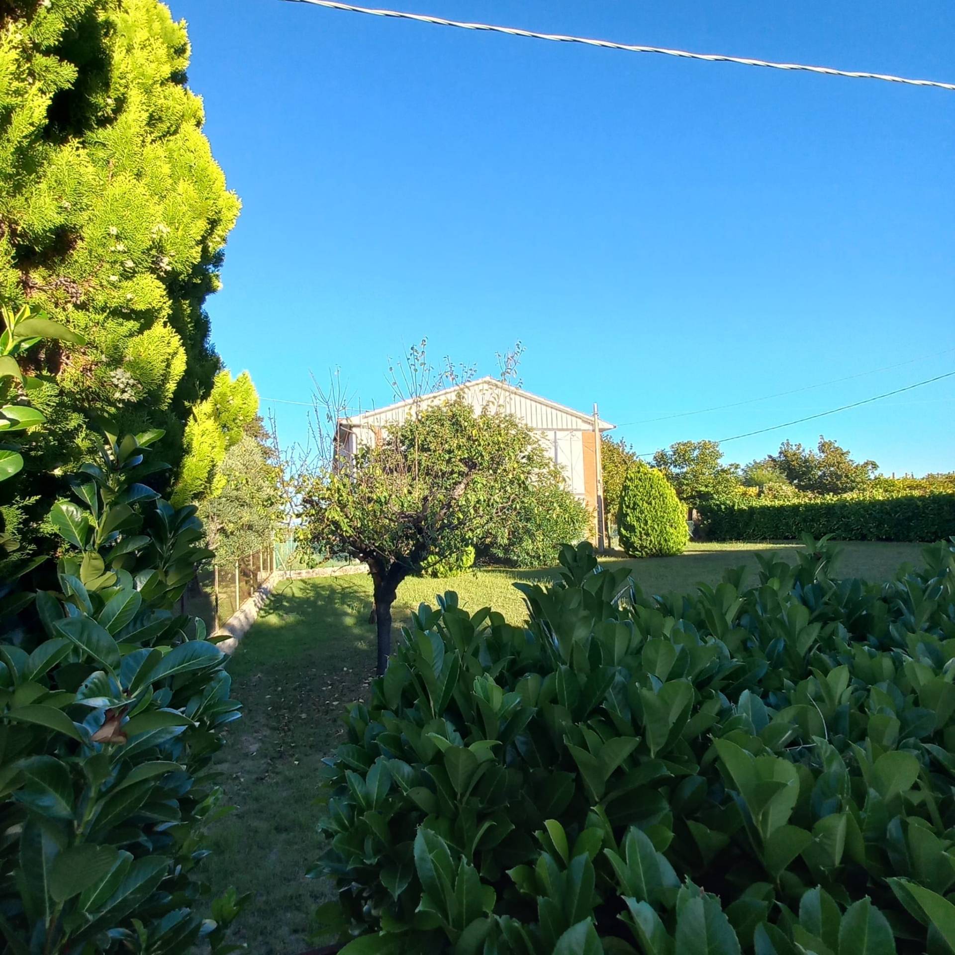 Terreno edificabile in vendita a Falerone