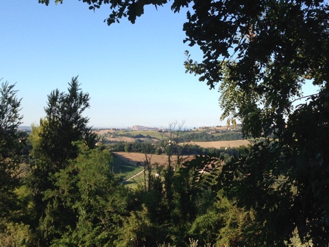 Terreno edificabile in vendita a Montegiorgio