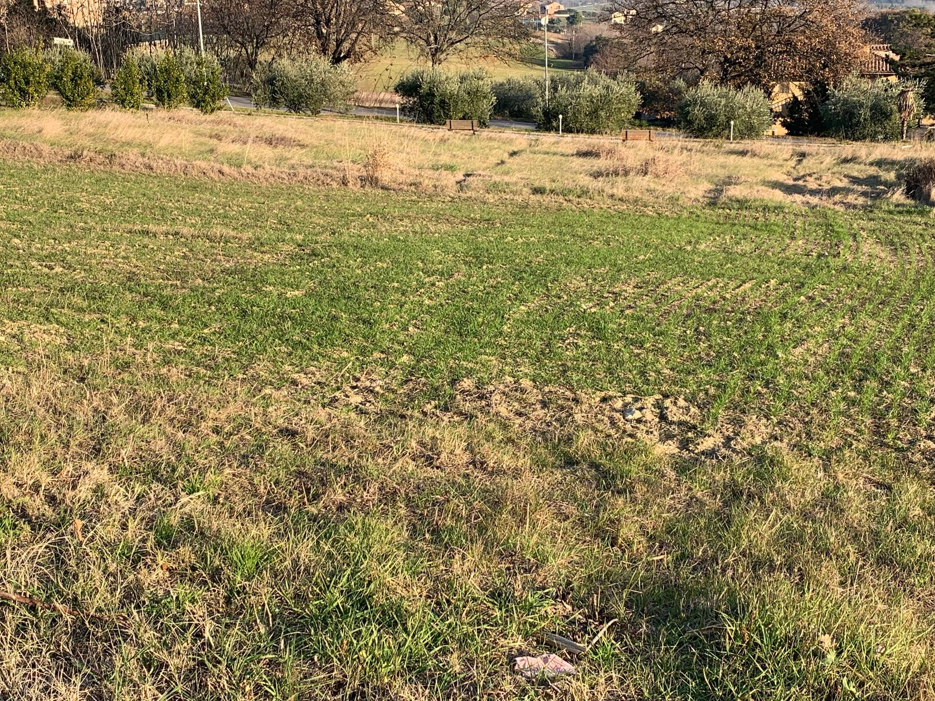 Terreno edificabile in vendita a Magliano di Tenna