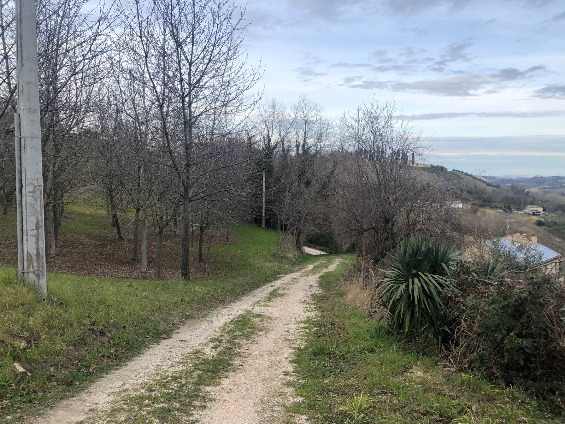 CASALE / RUSTICO in vendita a Montottone