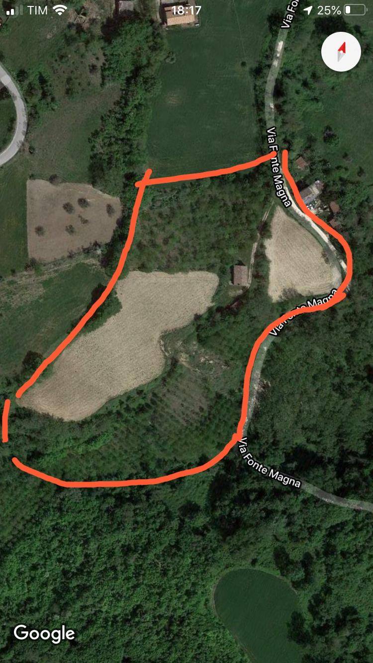 CASALE / RUSTICO in vendita a Montottone