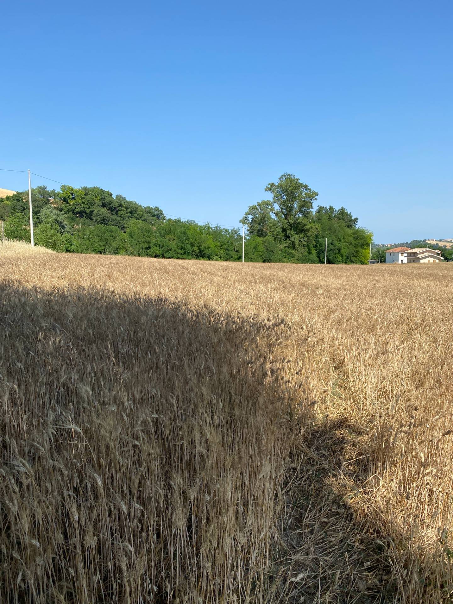 Terreno edificabile in vendita a Magliano di Tenna