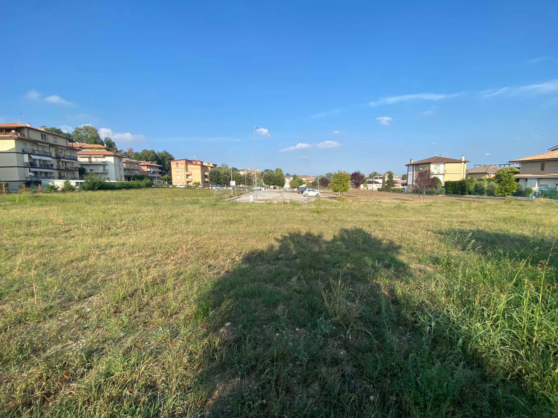 immagine annuncio 5 di 7