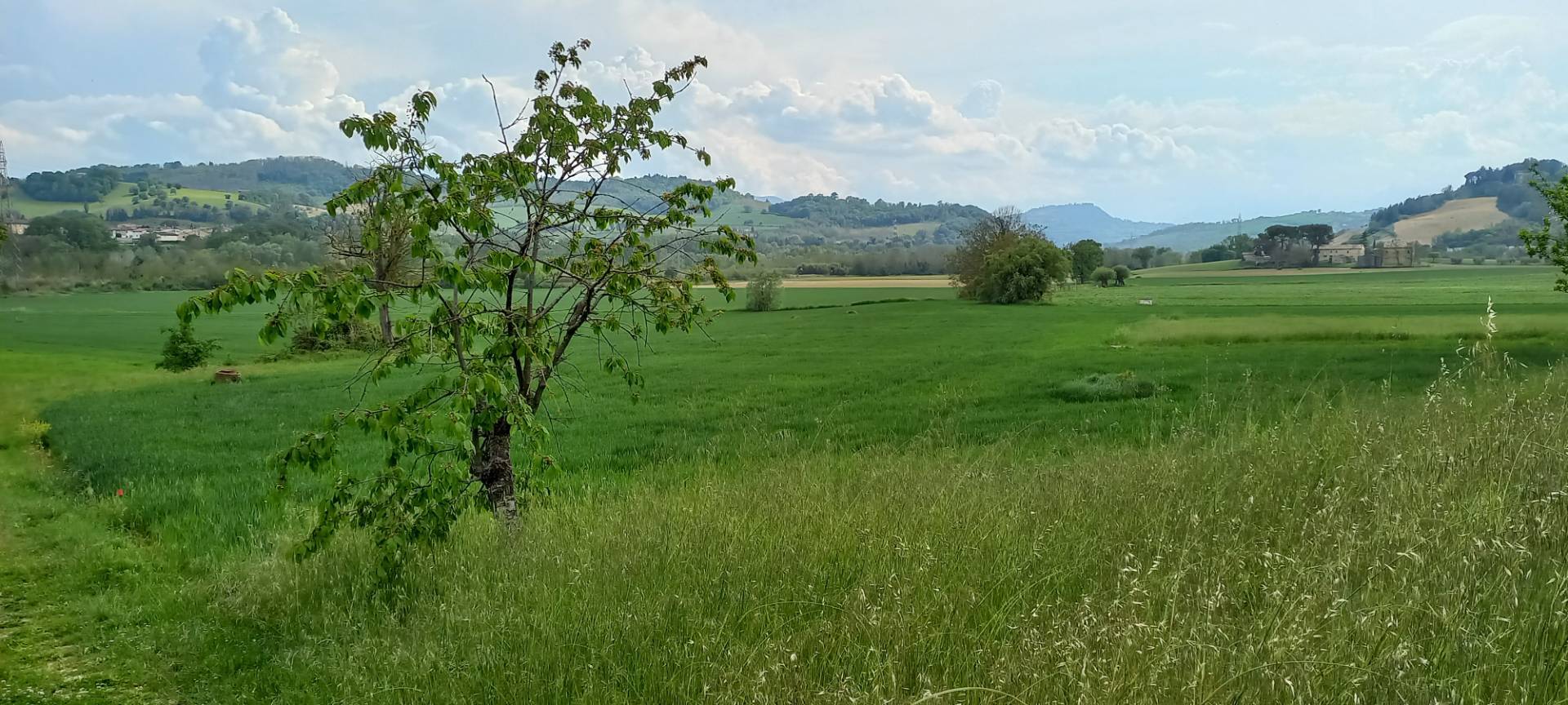 Casa associata in vendita a Falerone