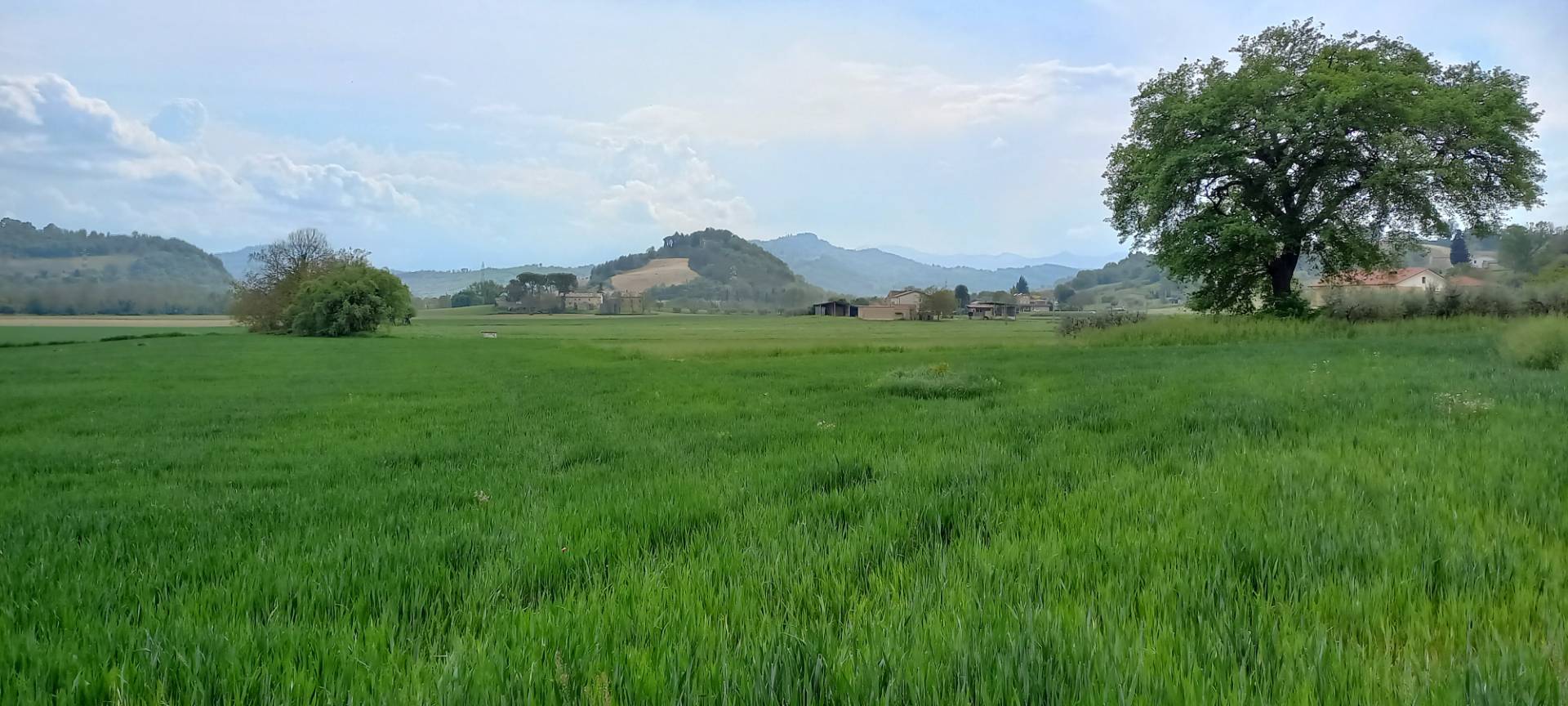 Casa associata in vendita a Falerone