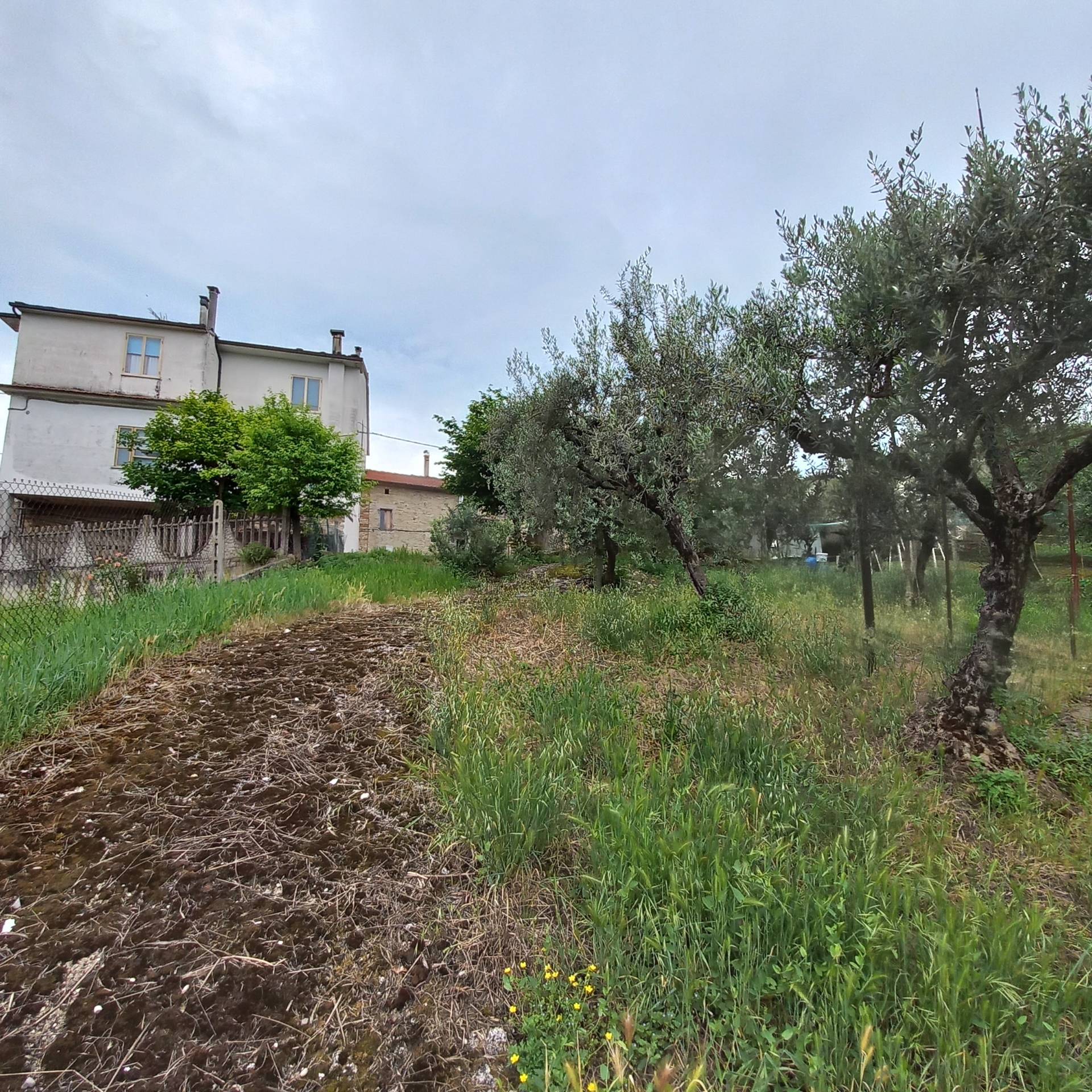 CASA in vendita a Massa Fermana