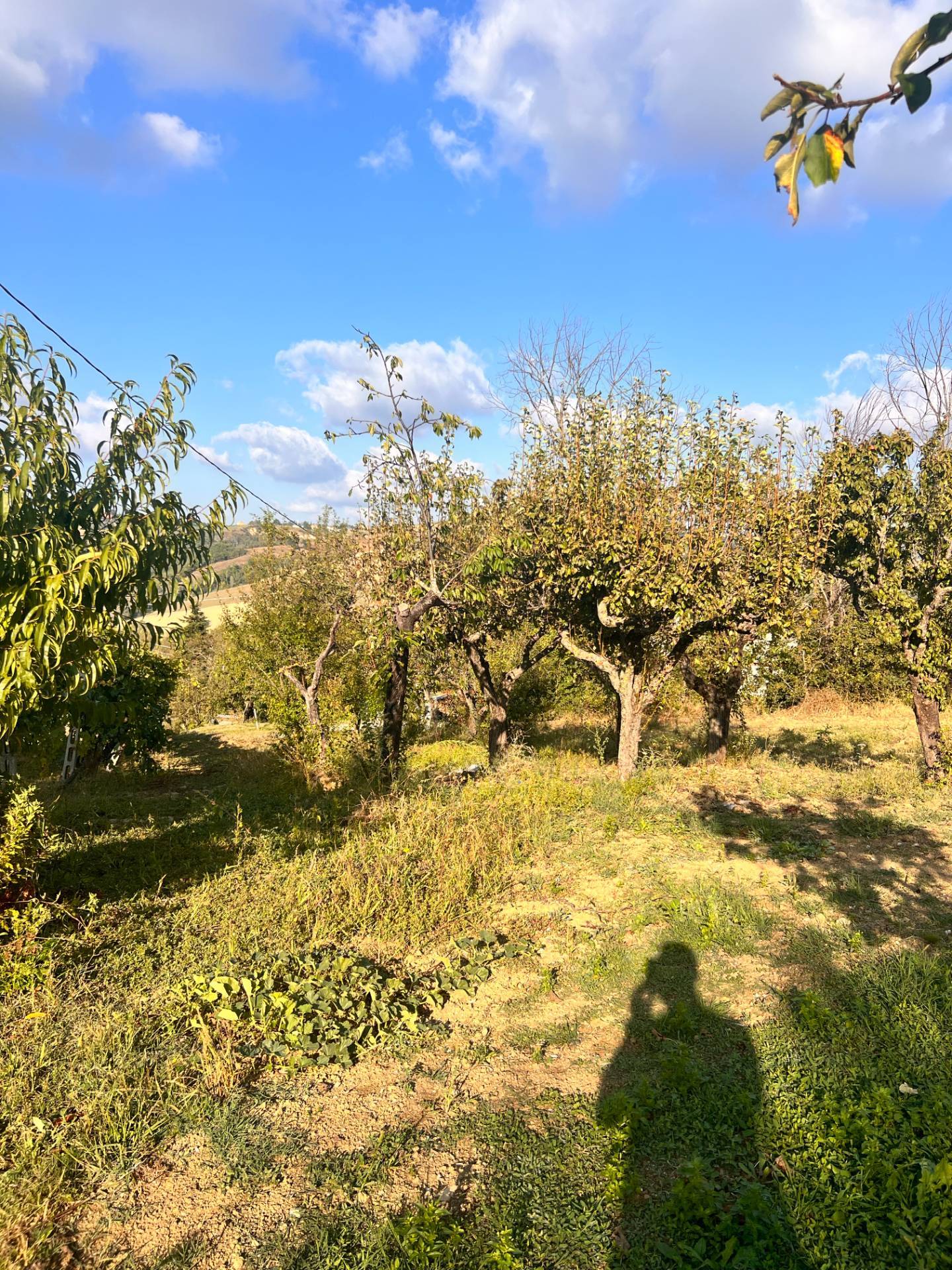 Appartamento in vendita a Santa Vittoria in Matenano