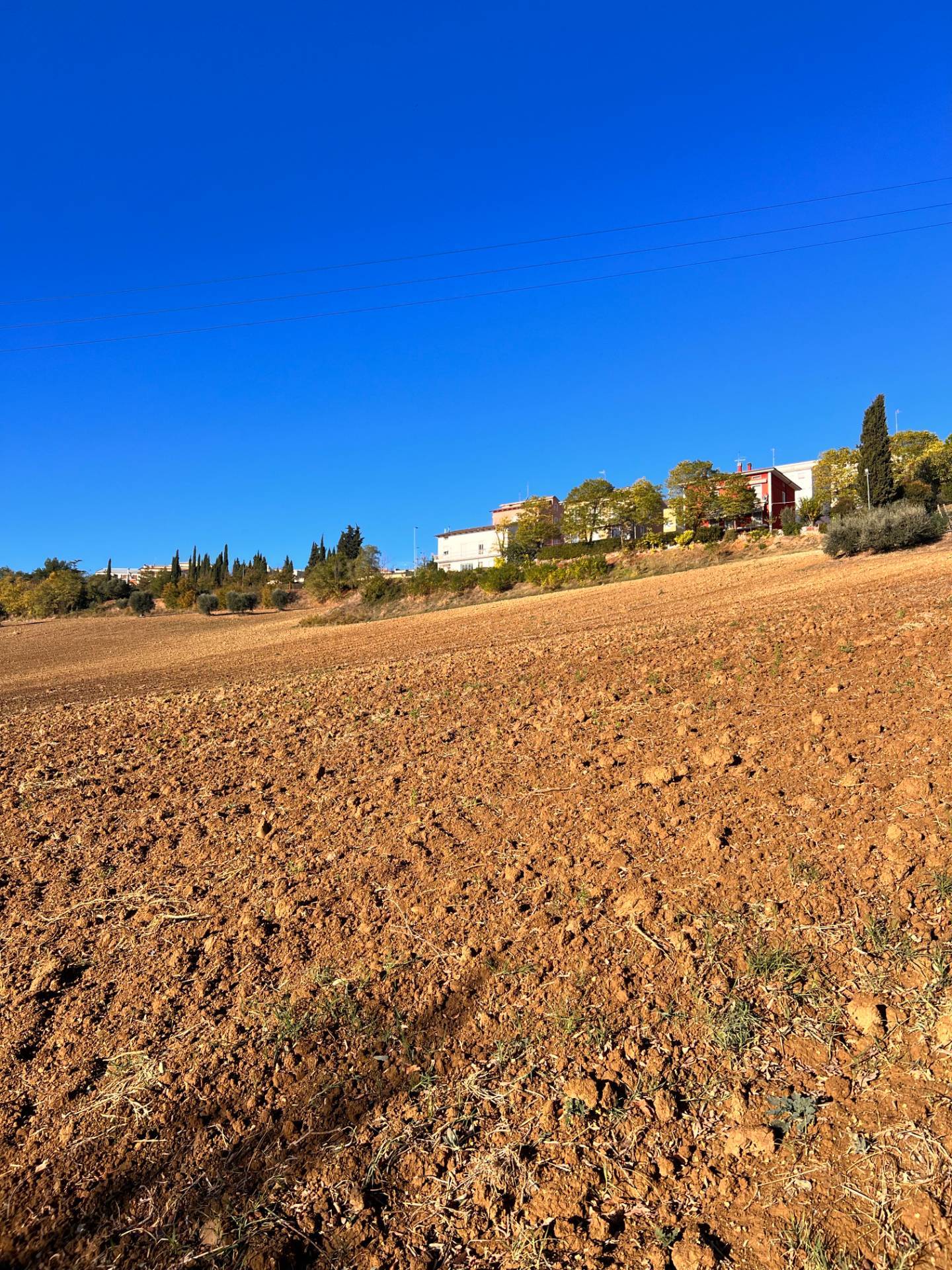 Terreno Agricolo in vendita a Monte Urano