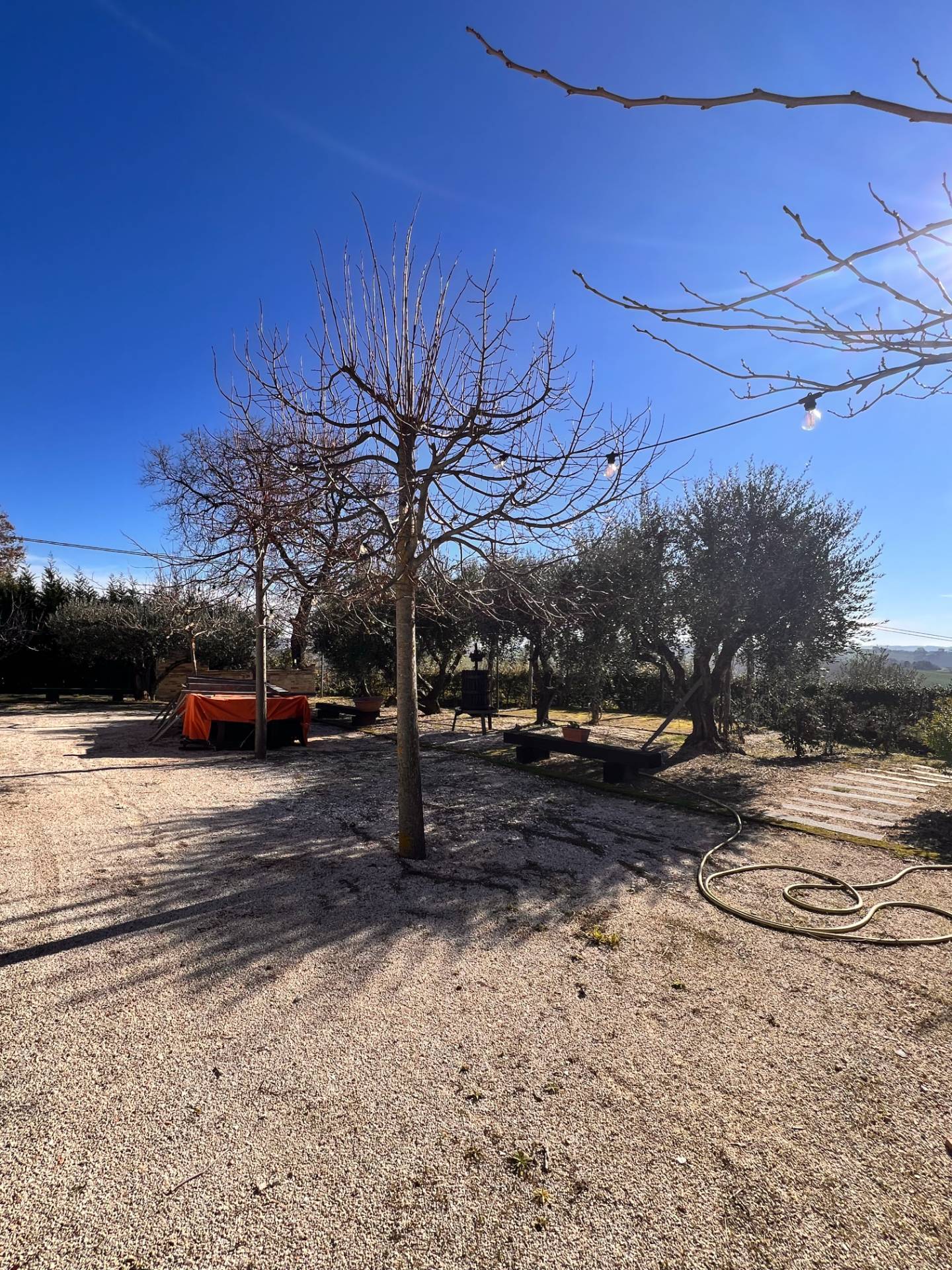 ALBERGO / RESIDENCE / BED & BREAKFAST / STRUTTURA RICETTIVA in vendita a Recanati