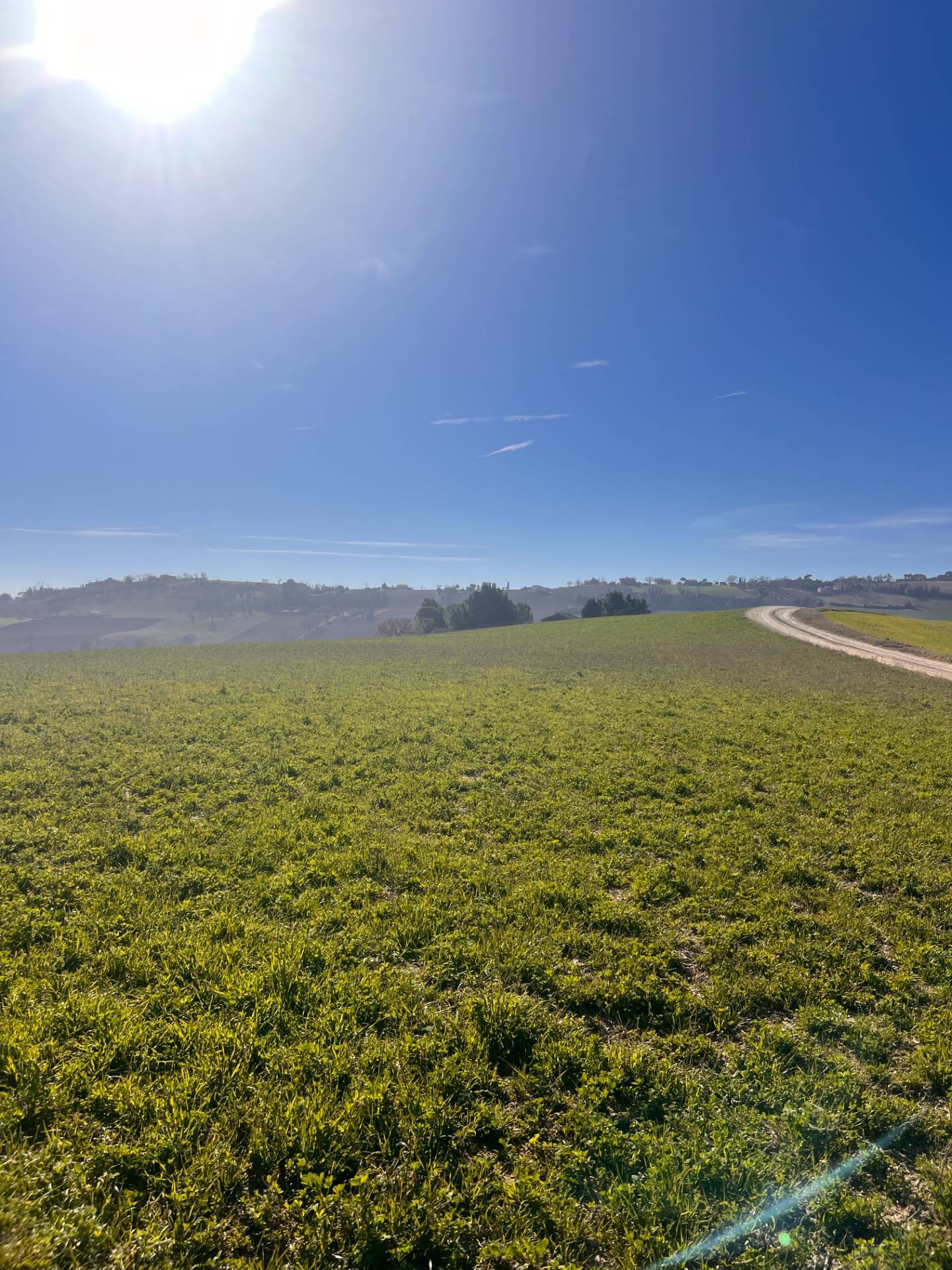 Terreno Agricolo in vendita a Recanati