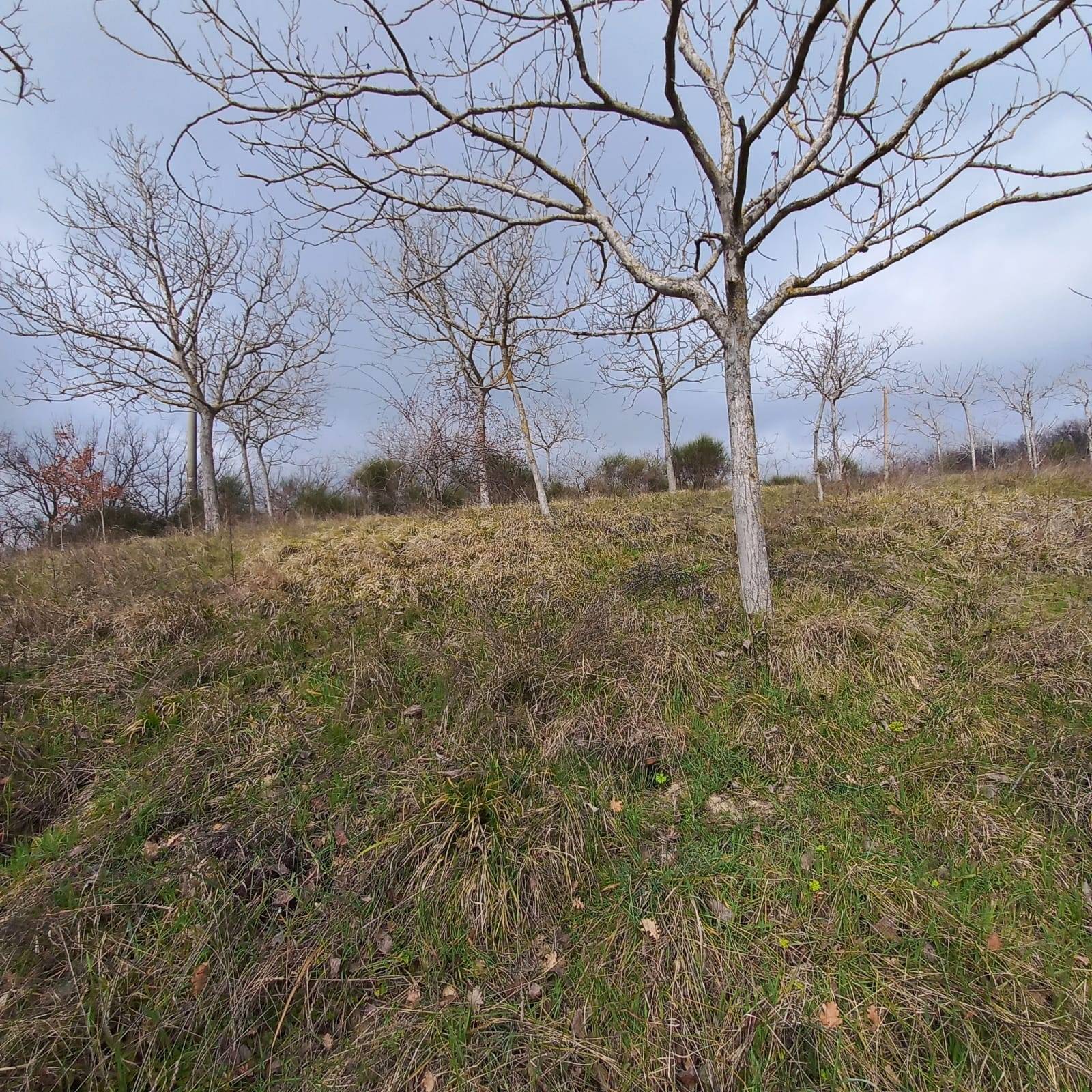 Rustico in vendita a Montelparo