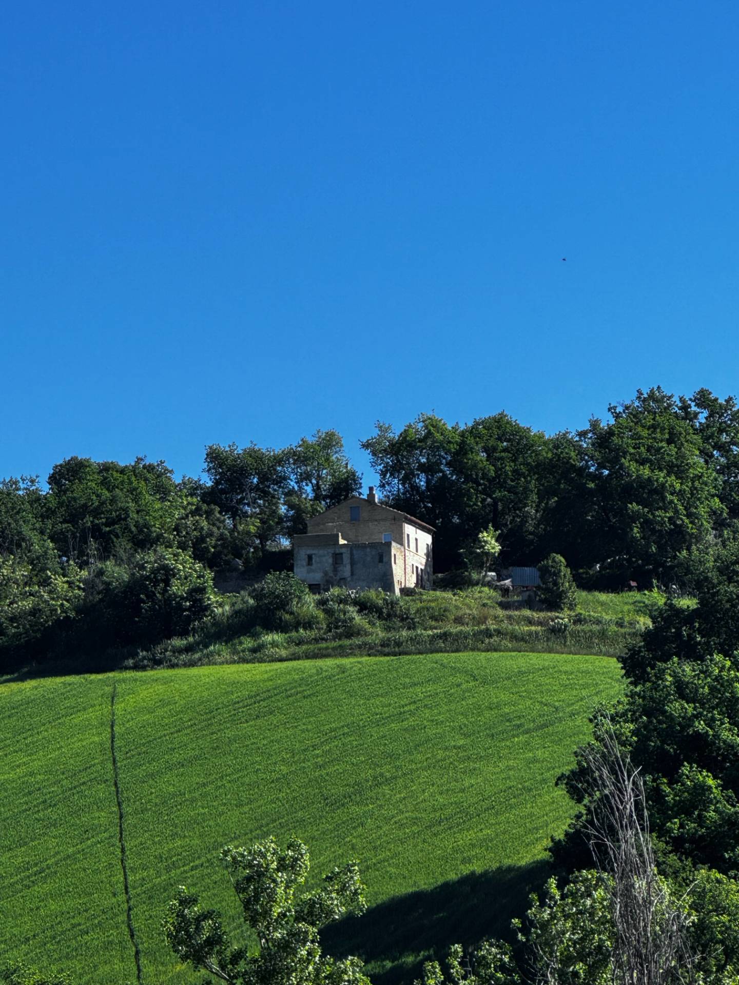 Casolare e Terreno in vendita a Montegiorgio