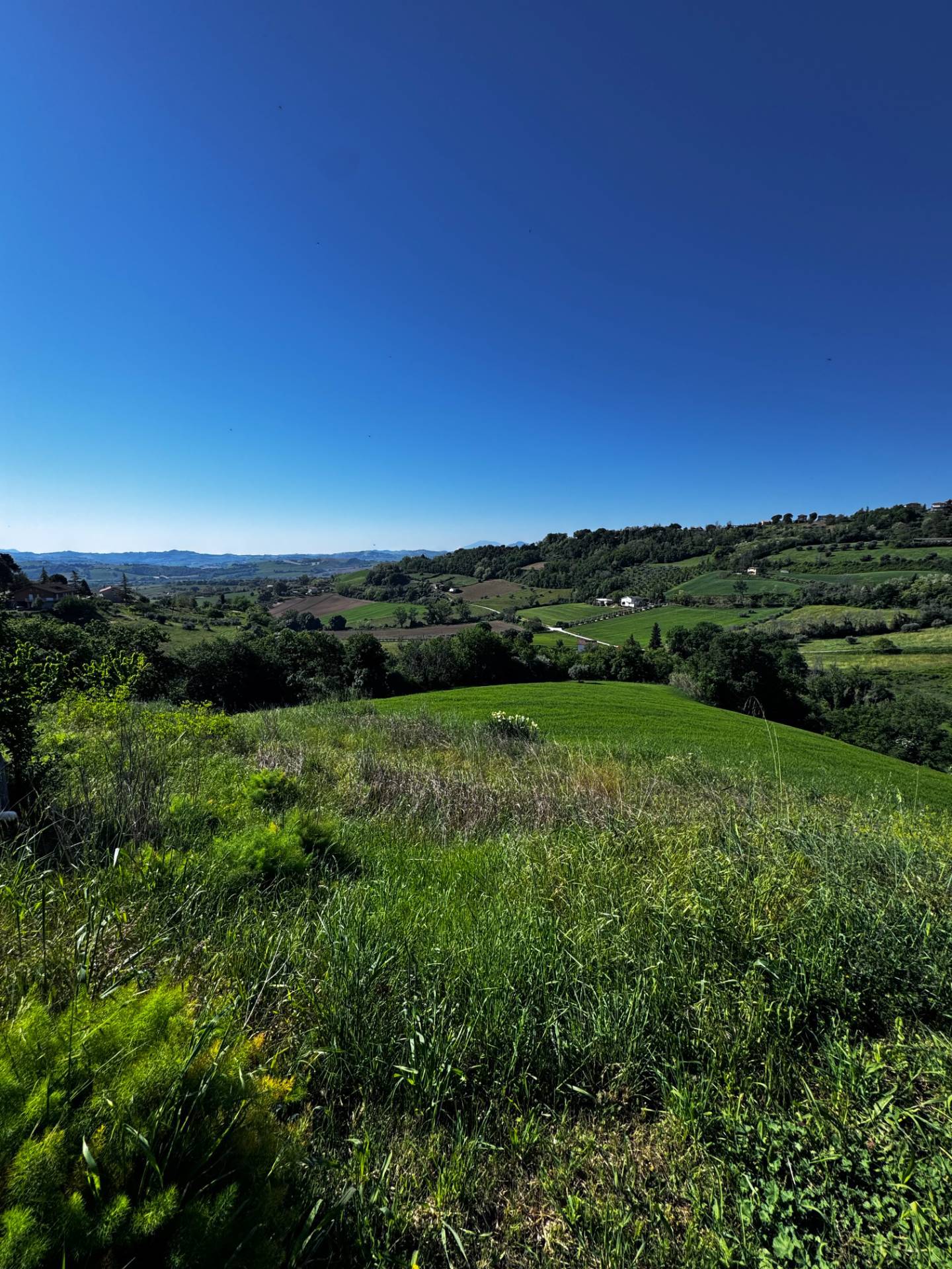 Casolare e Terreno in vendita a Montegiorgio