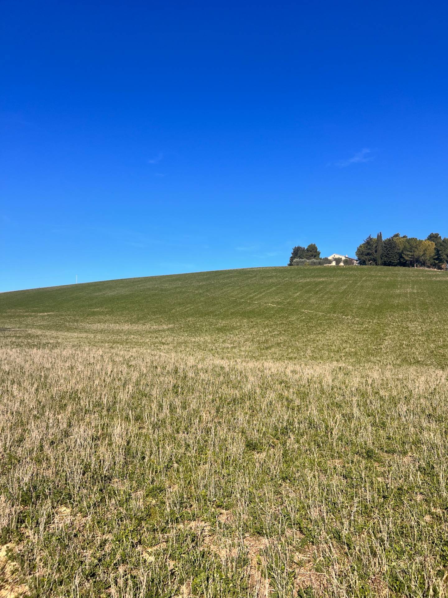 Terreno Agricolo in vendita a Recanati