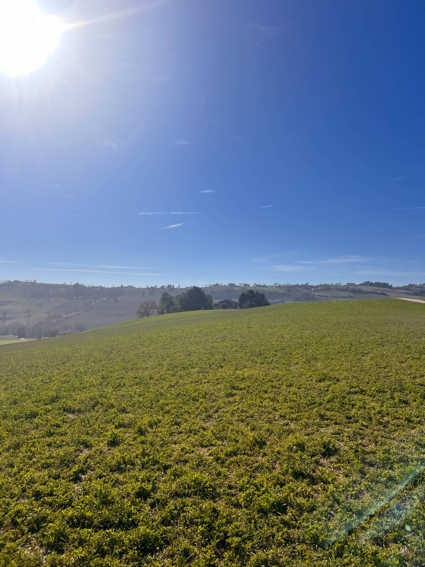 Terreno Agricolo in vendita a Recanati