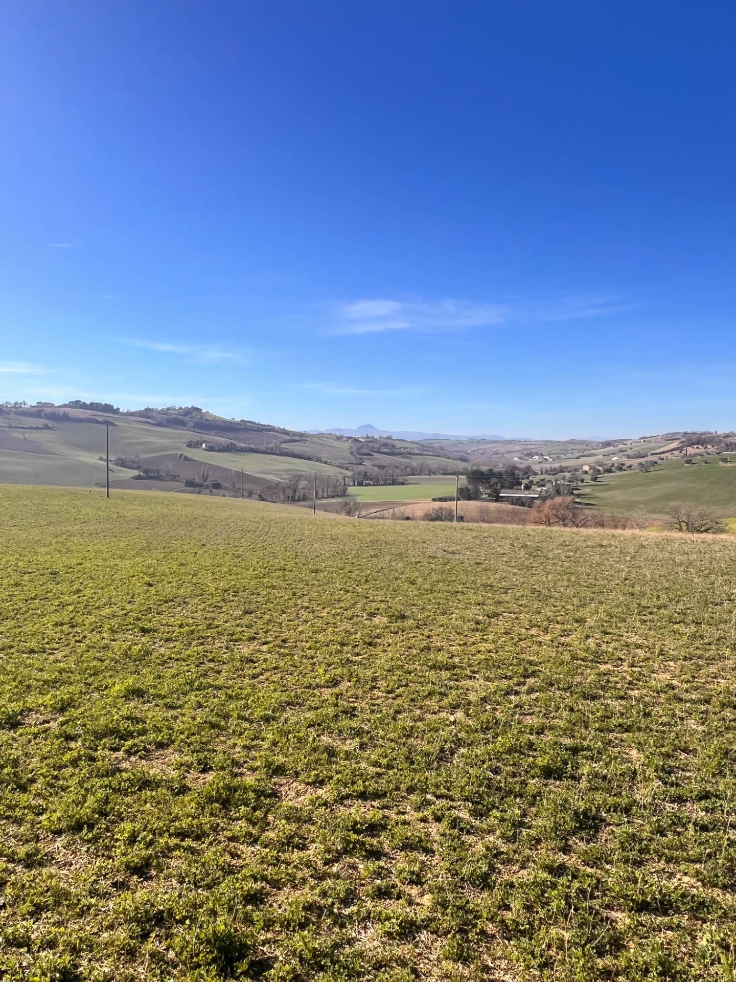 Terreno Agricolo in vendita a Recanati