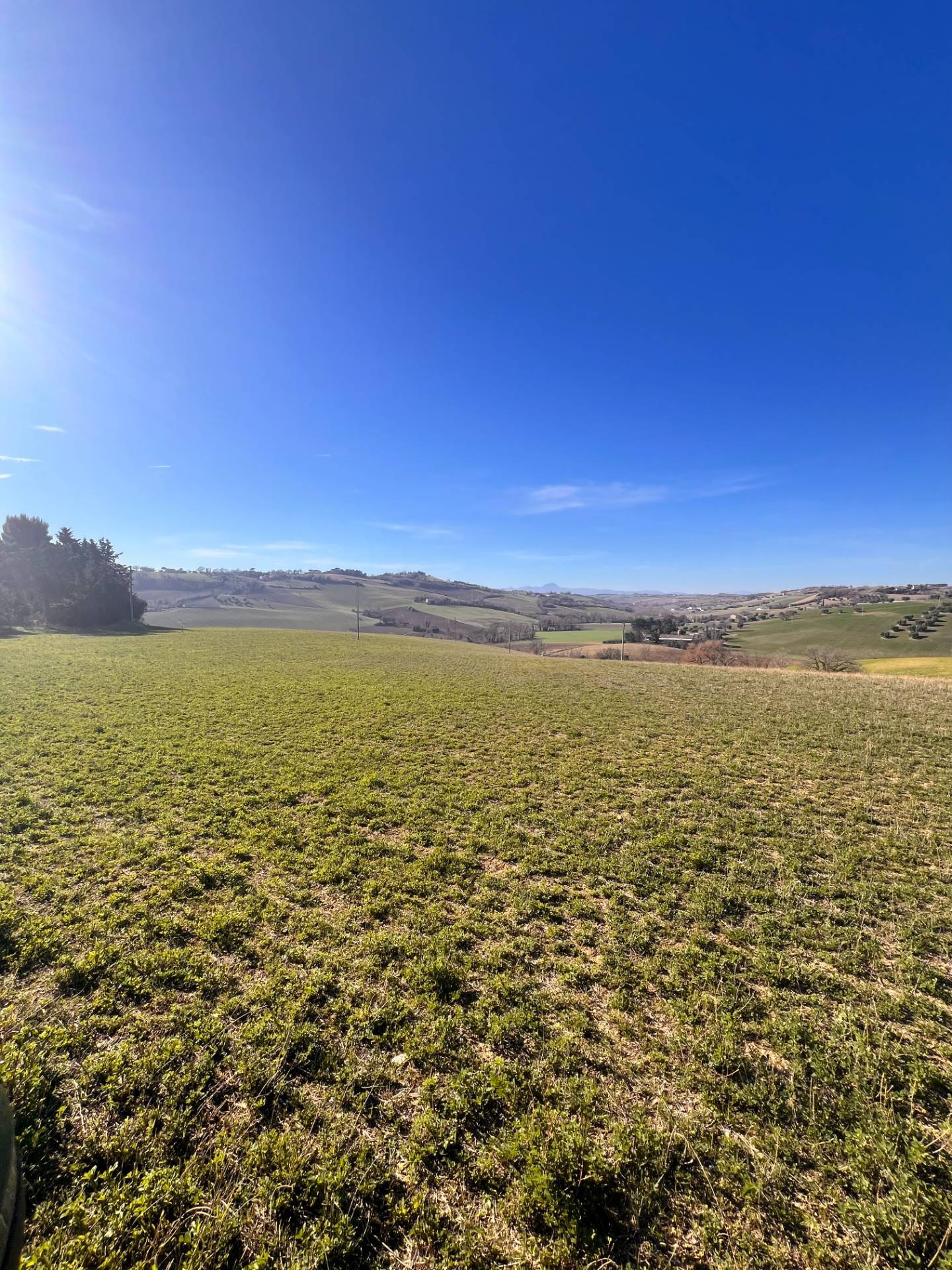 Terreno Agricolo in vendita a Recanati
