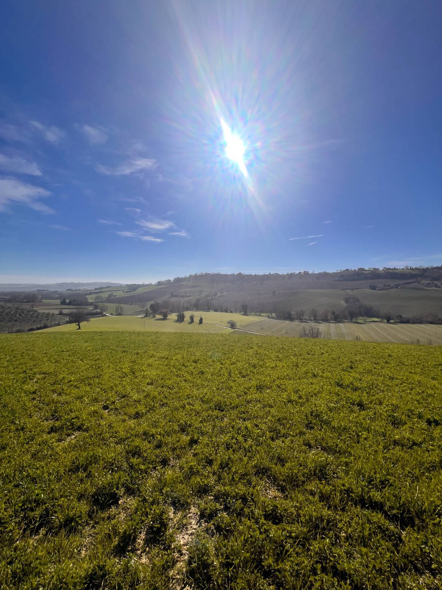 Terreno Agricolo in vendita a Recanati