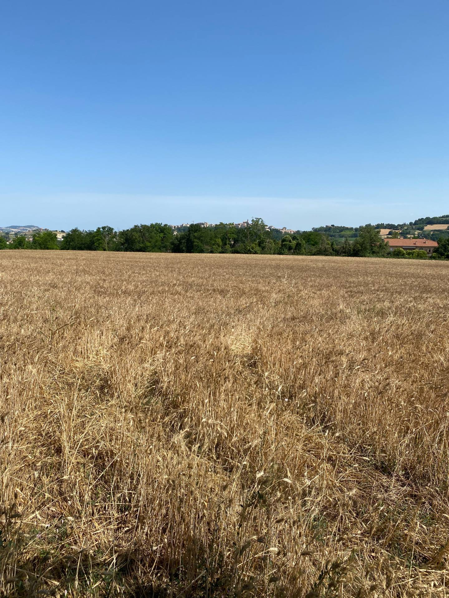 Terreno edificabile in vendita a Magliano di Tenna
