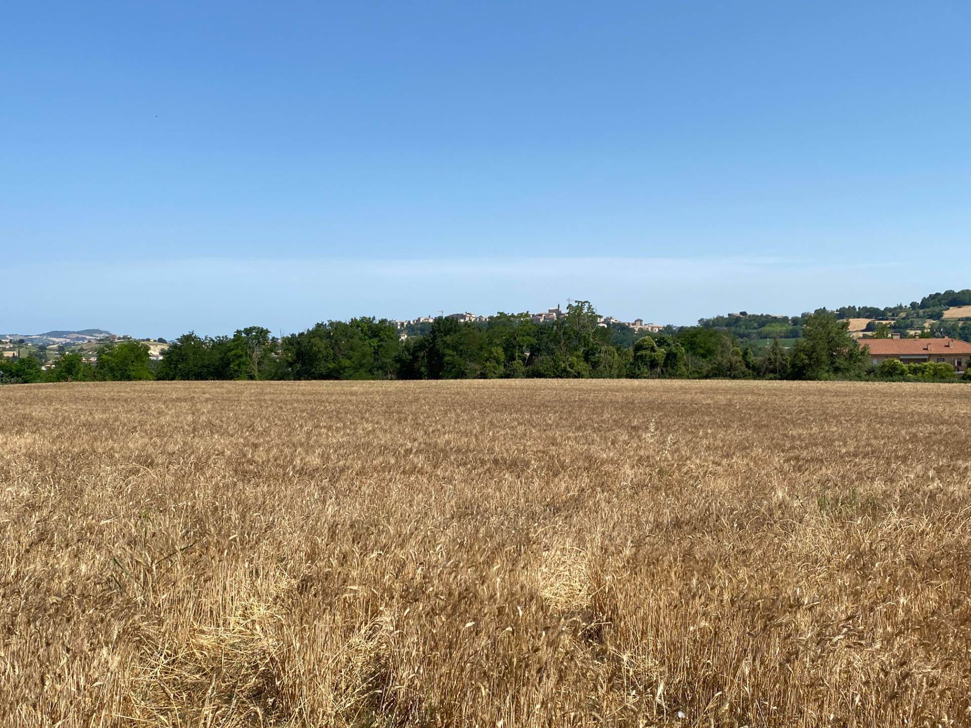 Terreno edificabile in vendita a Magliano di Tenna