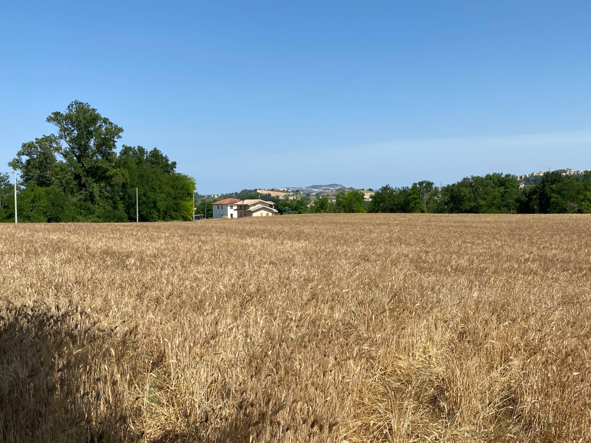 Terreno edificabile in vendita a Magliano di Tenna