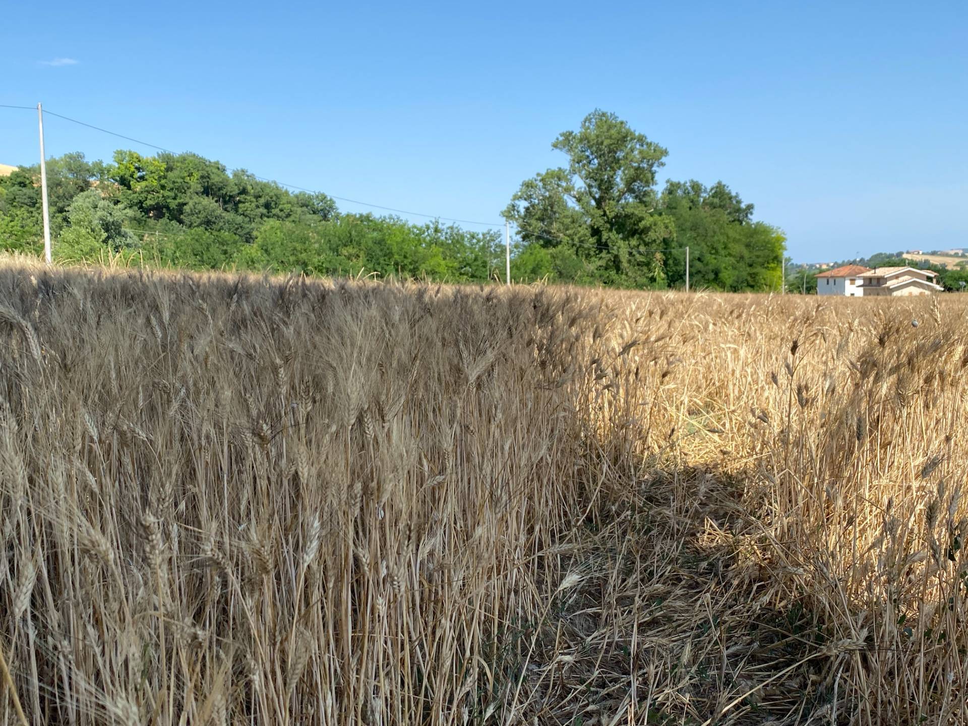 Terreno edificabile in vendita a Magliano di Tenna