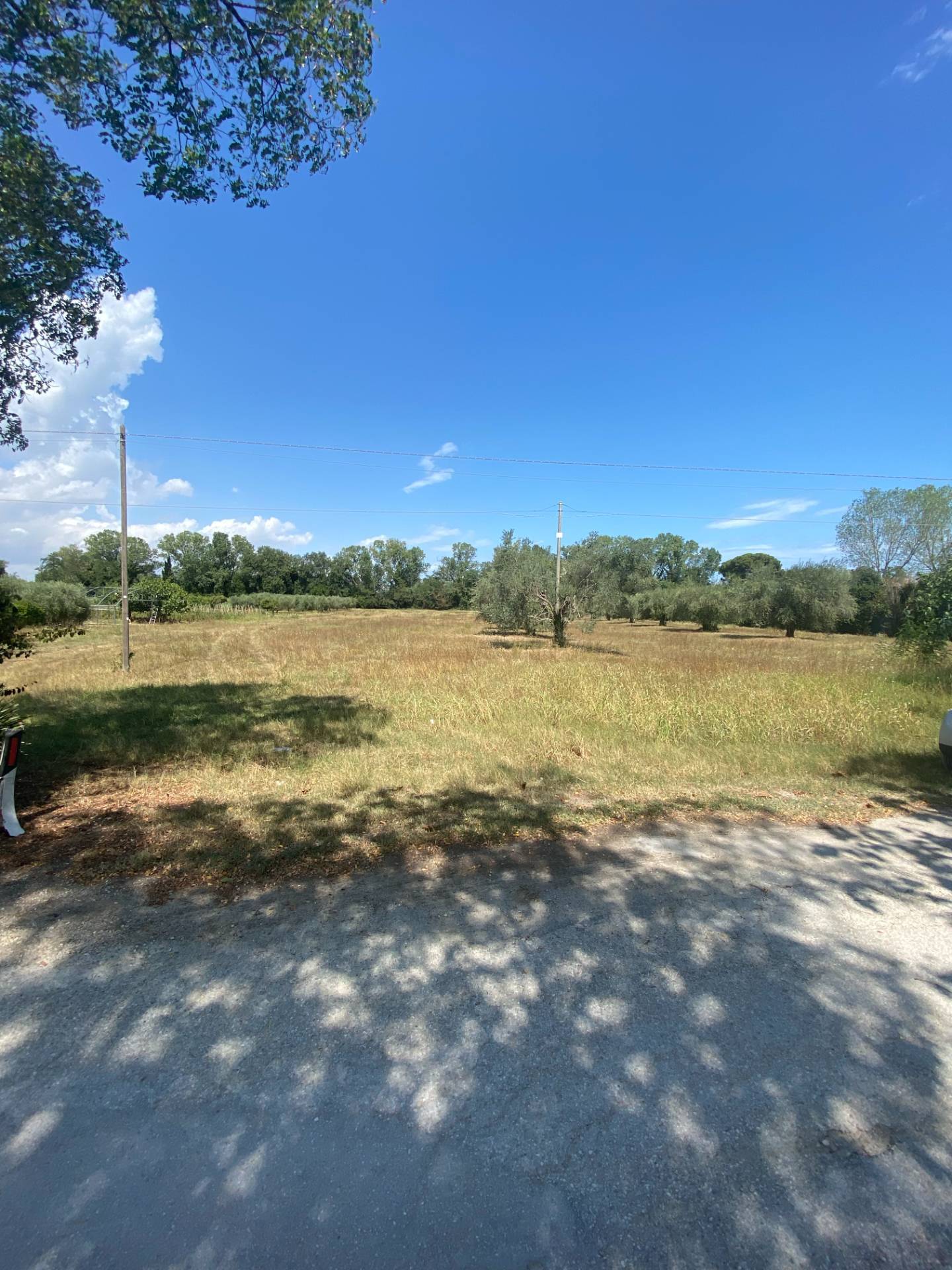 Terreno Agricolo in vendita a Fermo, Lido San Tommaso