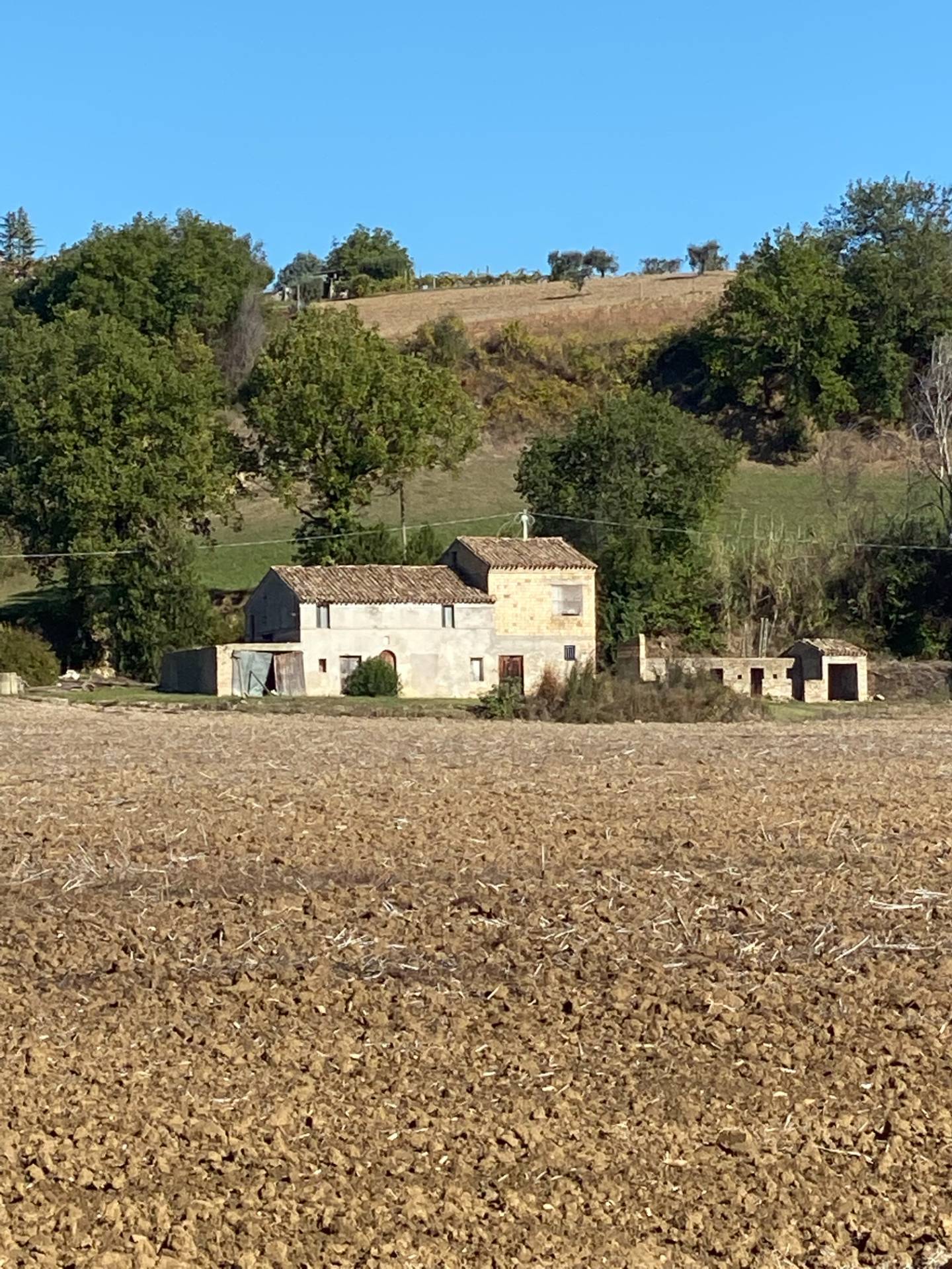 Casolare e Terreno in vendita a Montegiorgio, Piane di Montegiorgio