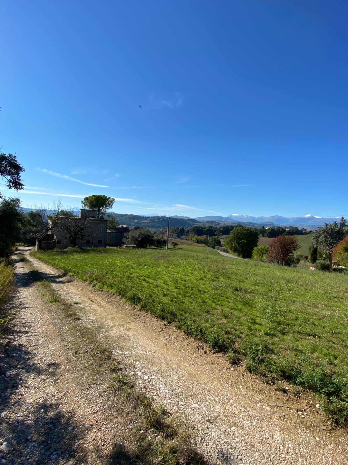 Casolare e Terreno in vendita a Montegiorgio