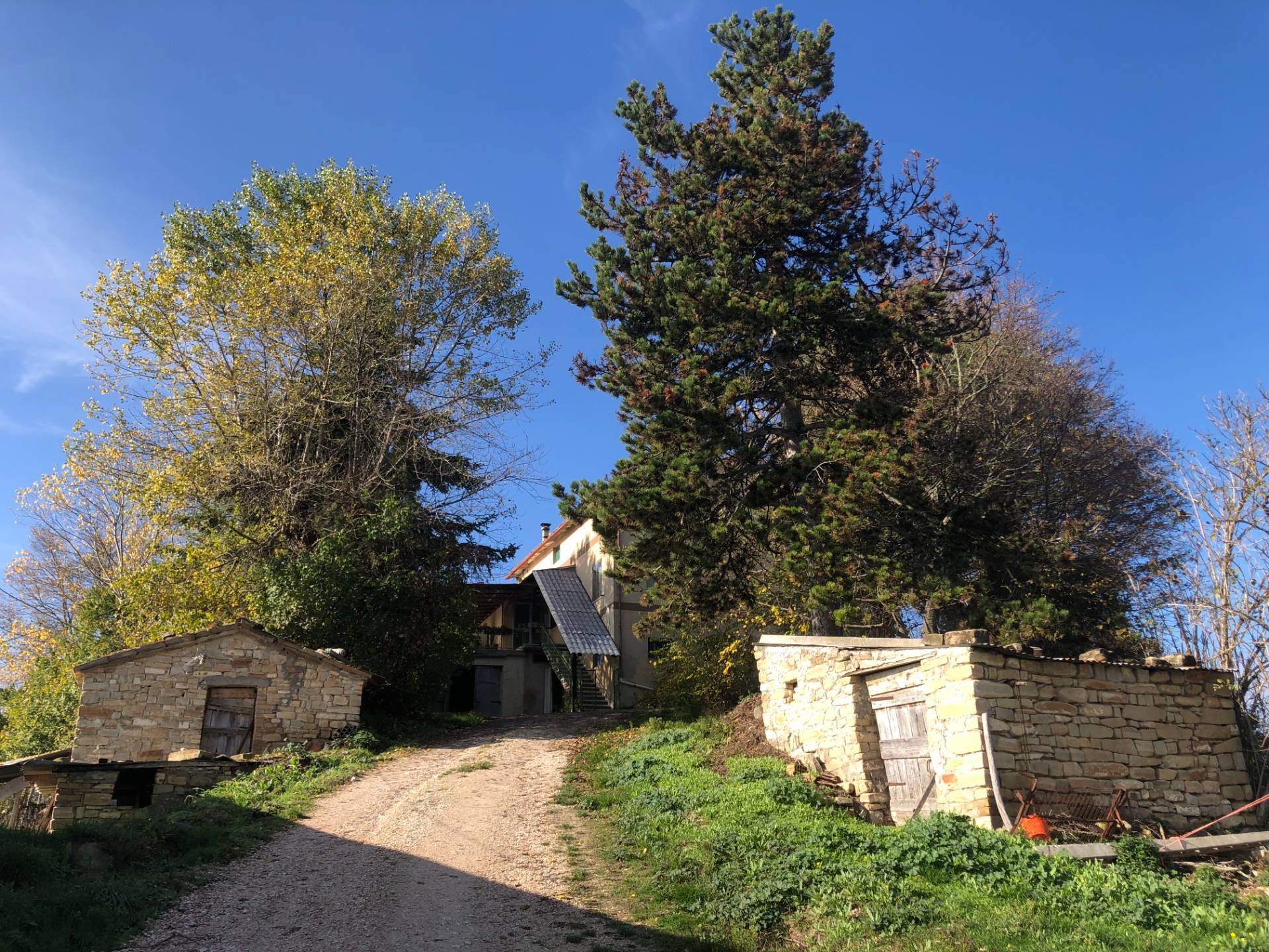 Casa associata in vendita a Montelparo