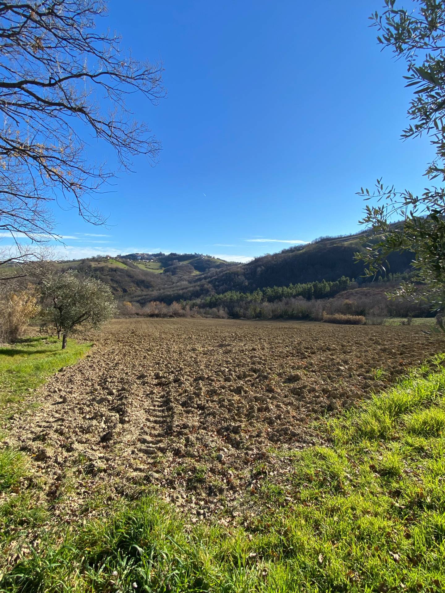 Casolare e Terreno in vendita a Montegiorgio, Monteverde