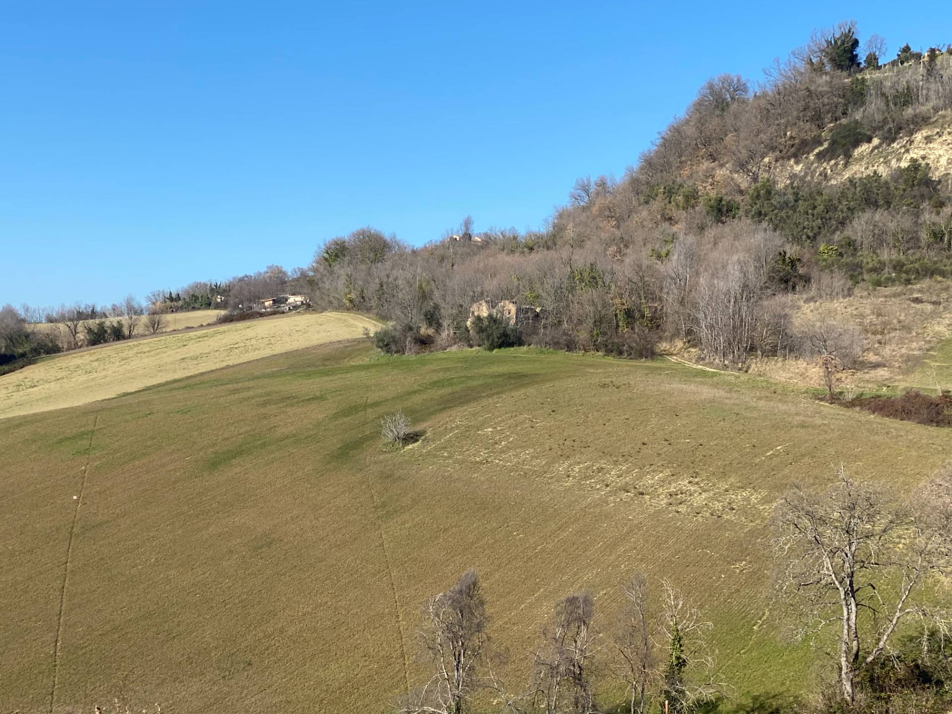Casolare e Terreno in vendita a Montegiorgio, Monteverde