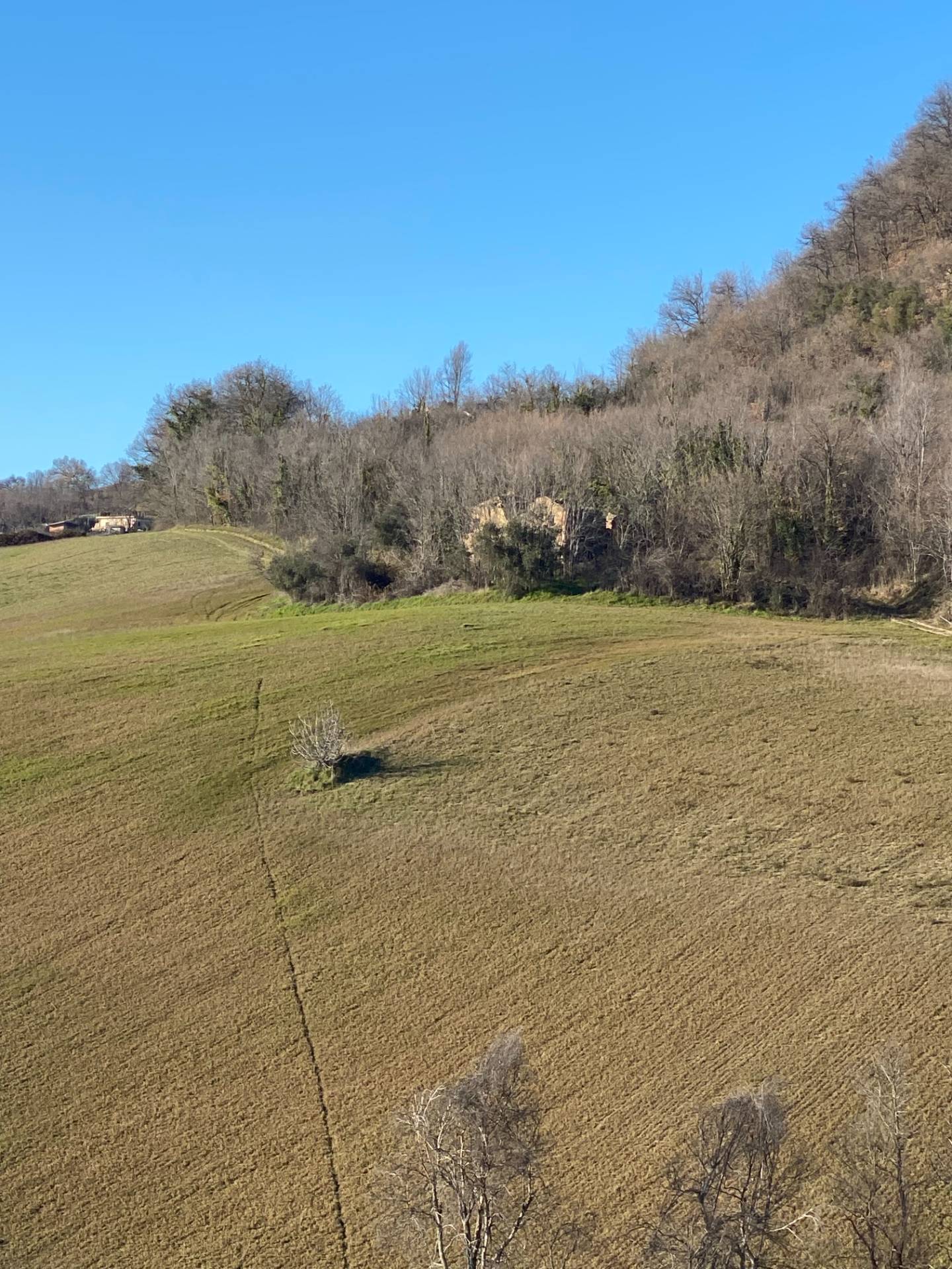 Casolare e Terreno in vendita a Montegiorgio, Monteverde