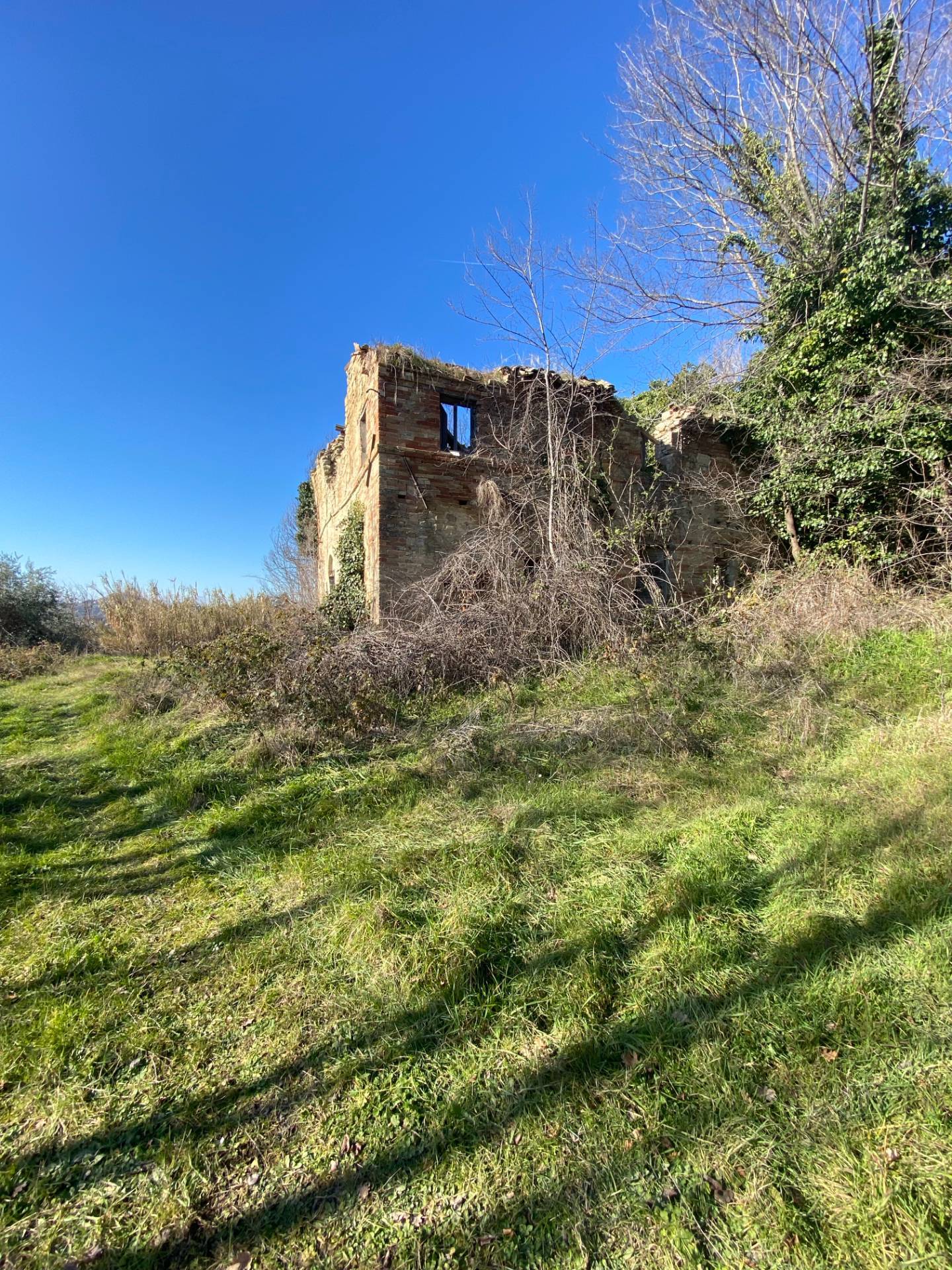 Casolare e Terreno in vendita a Montegiorgio, Monteverde